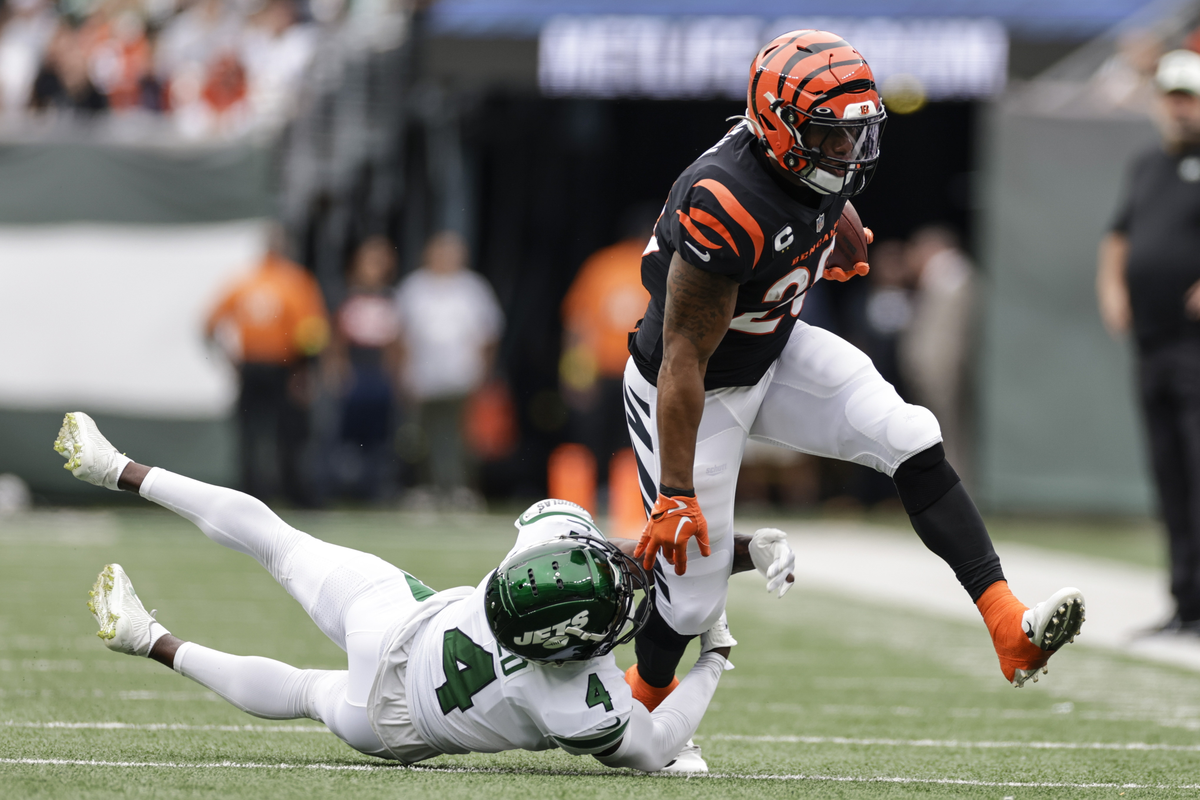 Miami Dolphins at Cincinnati Bengals FREE live stream (9/29/22