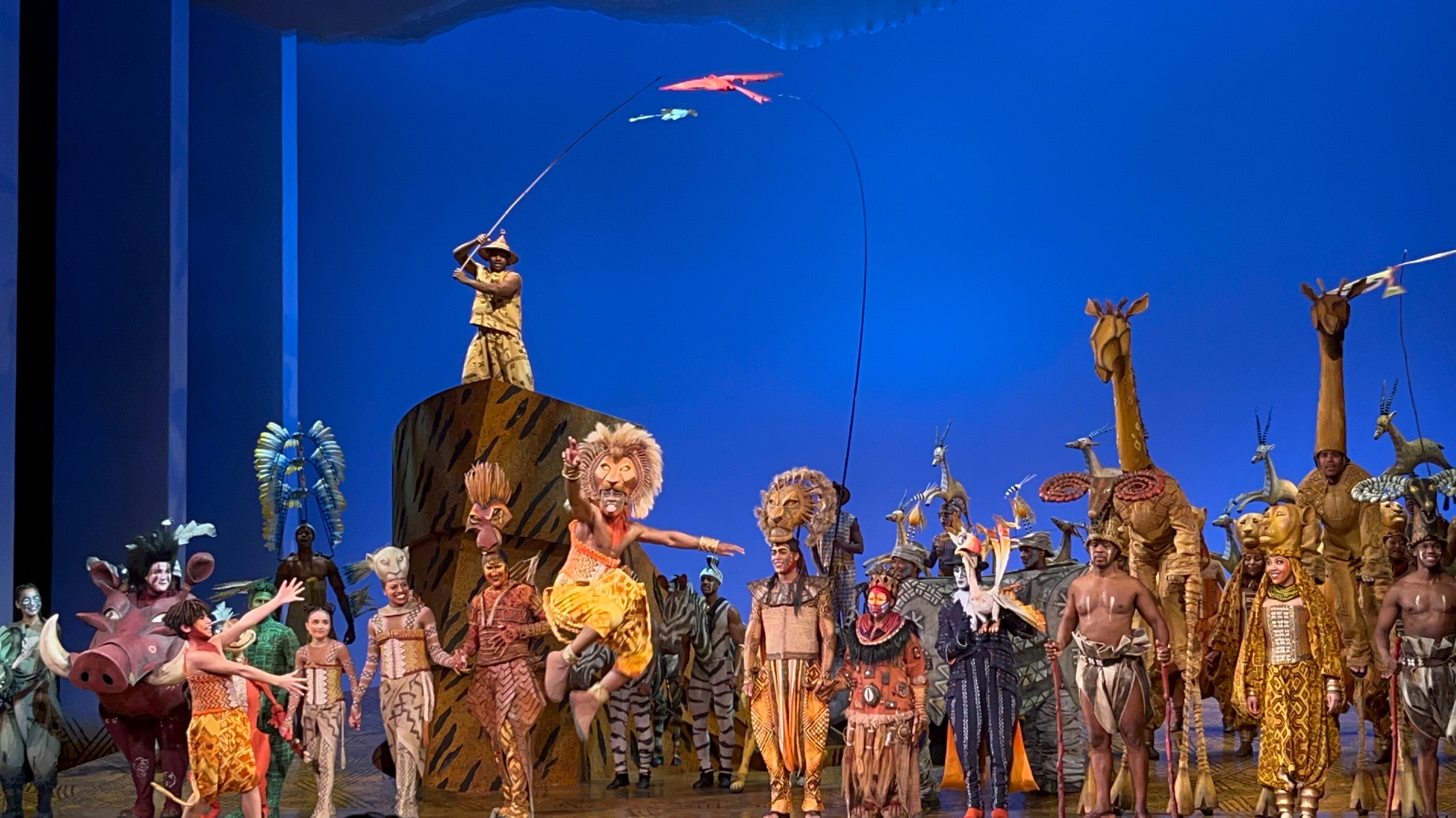 Discrepantie rit innovatie Landmark Disney musical 'The Lion King' approaches 25 years on Broadway |  How to get tickets - silive.com