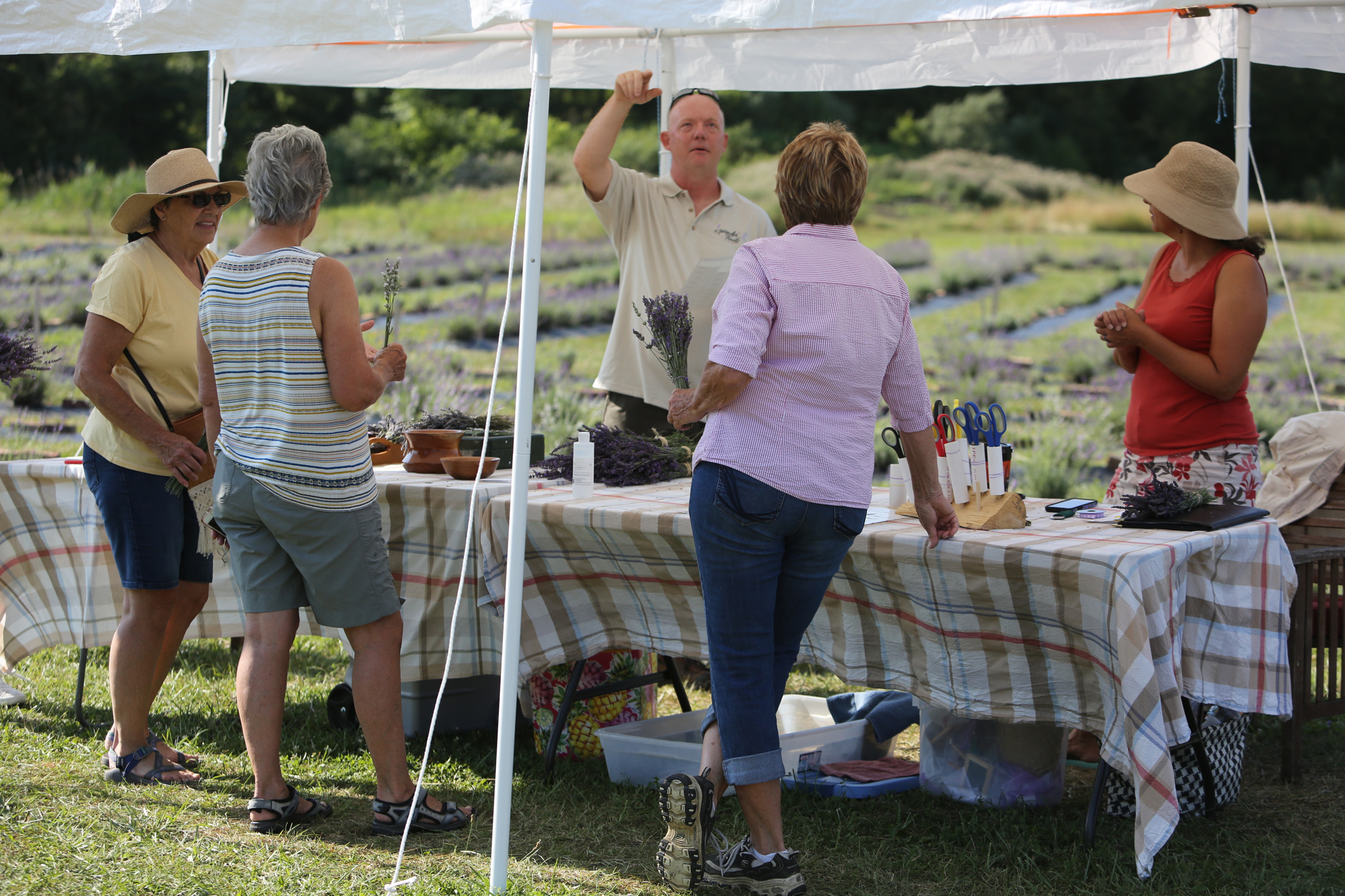 Lavender Trails Farm in Orrville