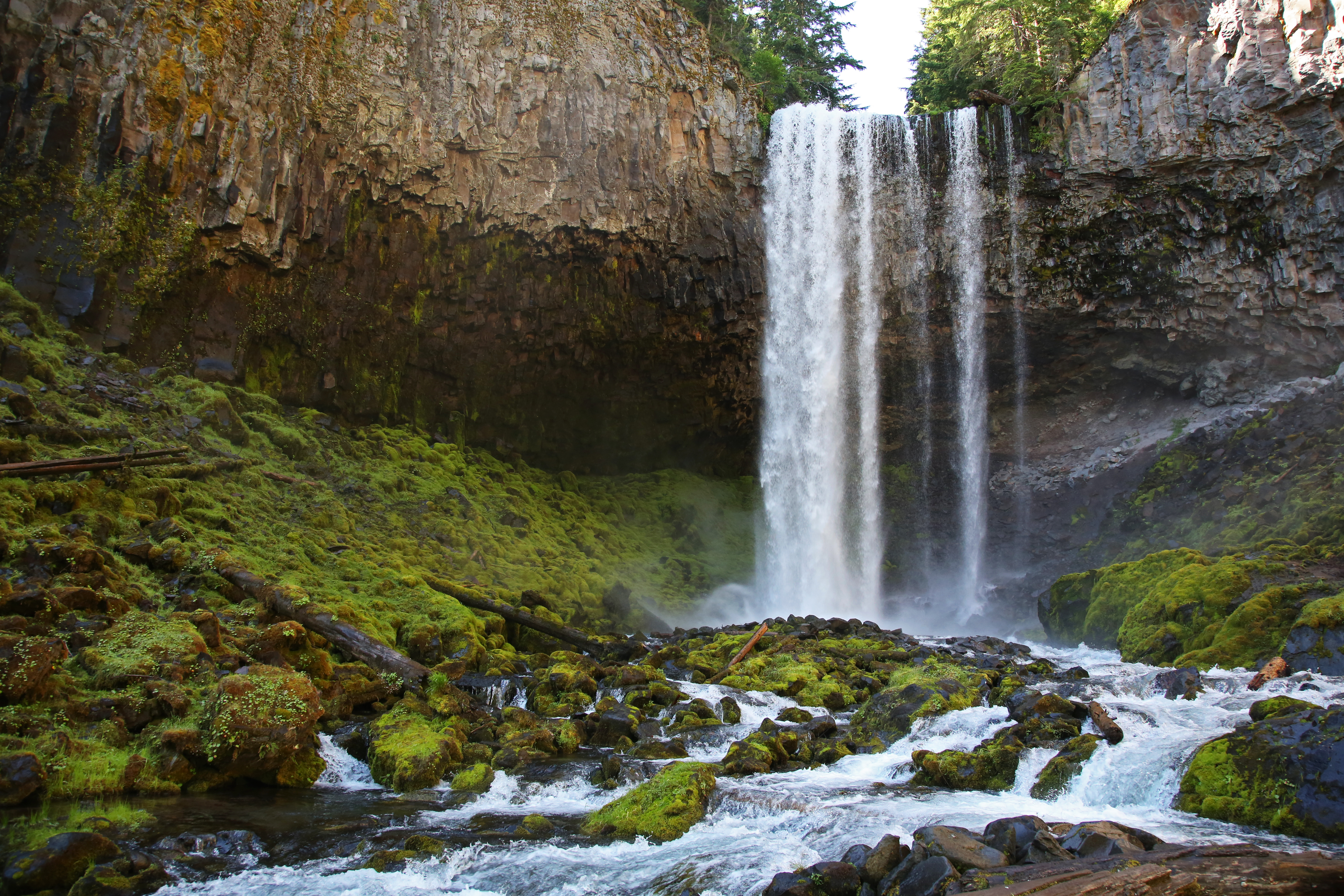 Easy mt hood hikes best sale