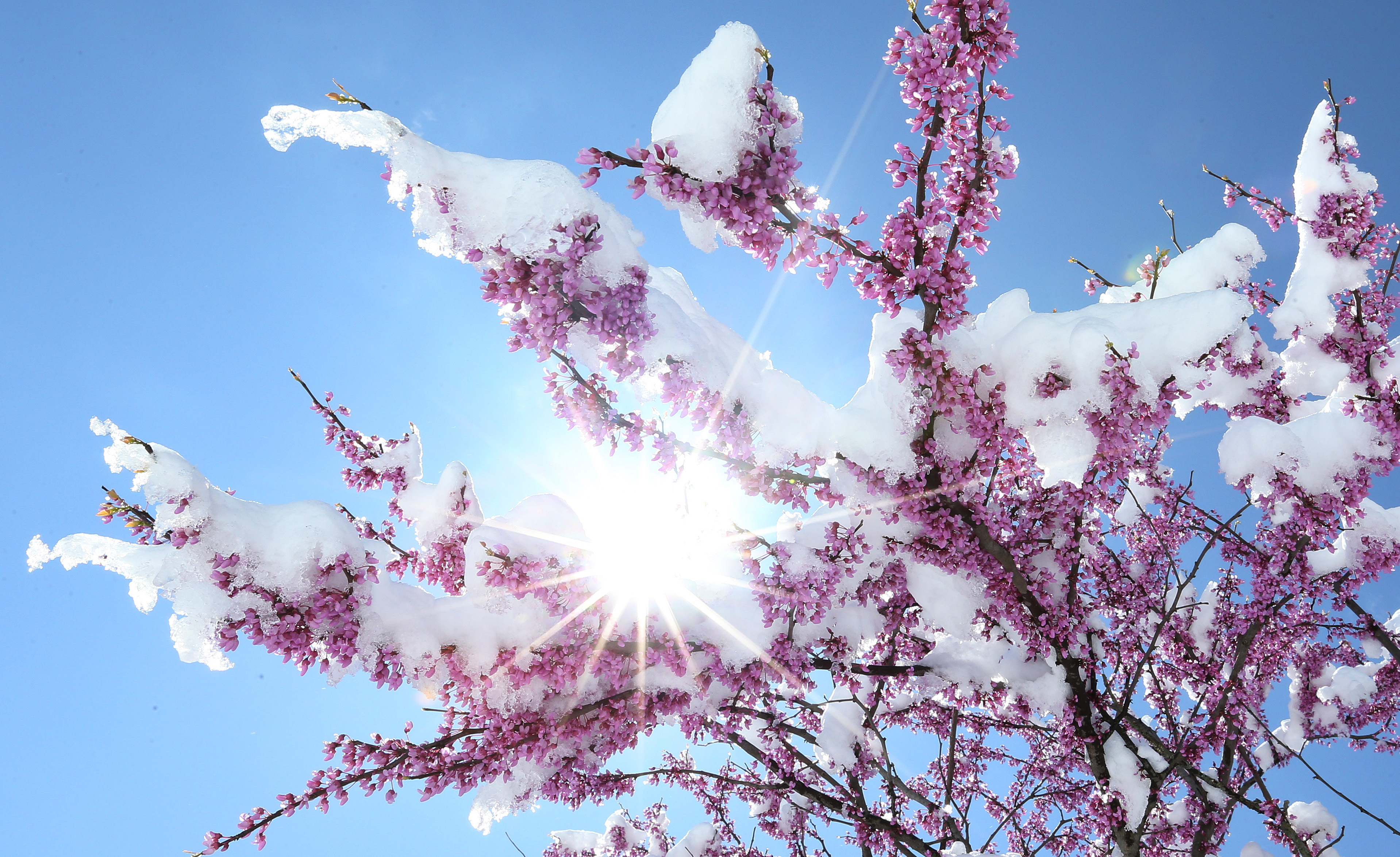 Late spring snow blankets Northeast Ohio, April 21, 2021 - cleveland.com