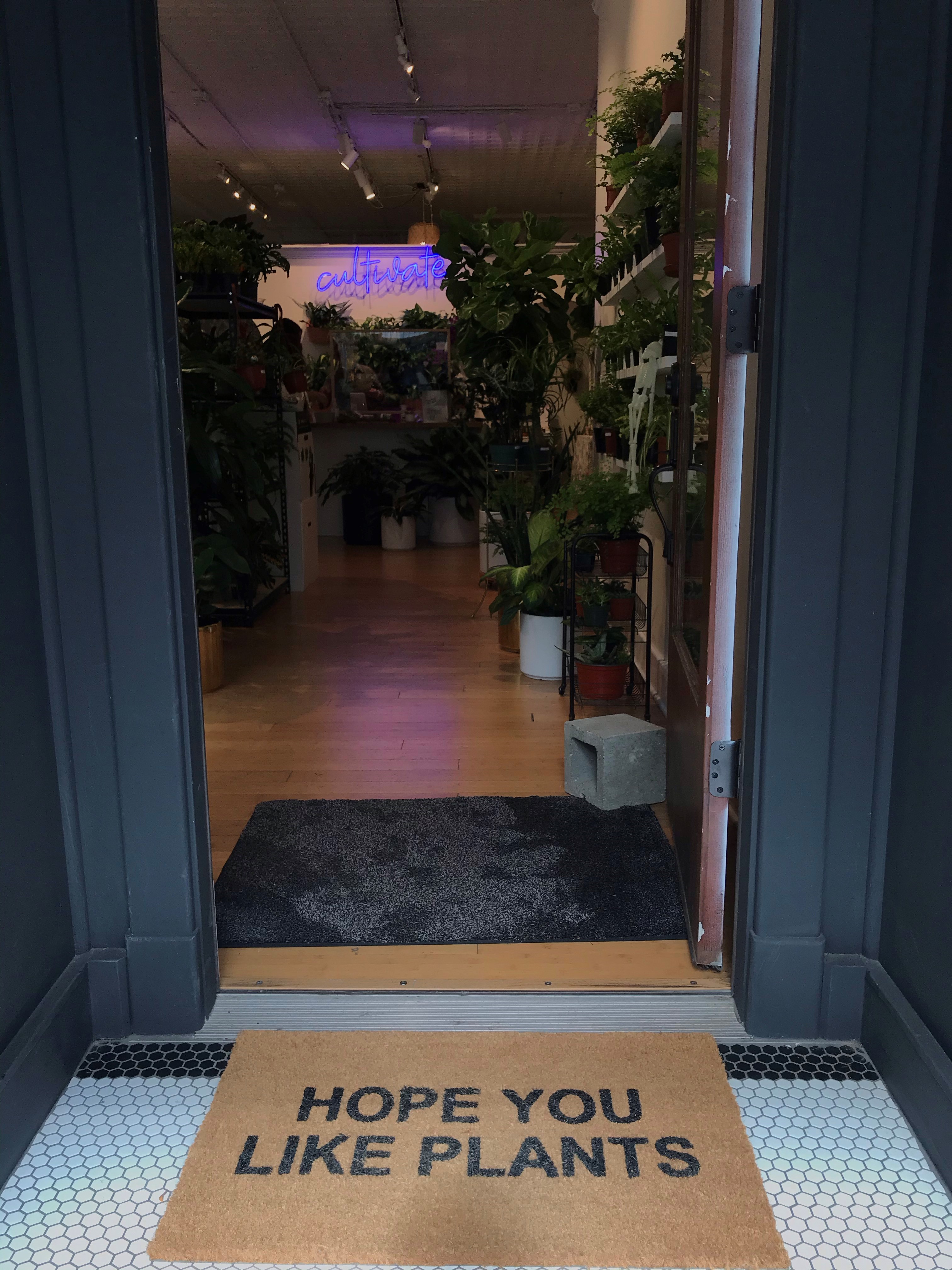 Mason Jar Plant Shop adds greenery to Kalamazoo’s downtown