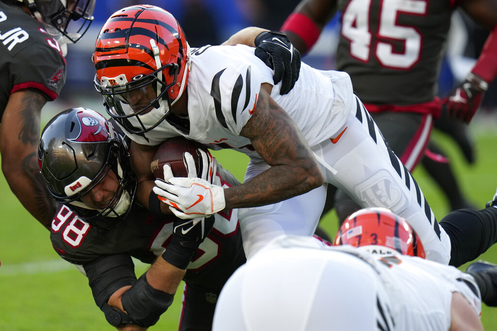 TAMPA, FL - DECEMBER 18: Cincinnati Bengals linebacker Logan