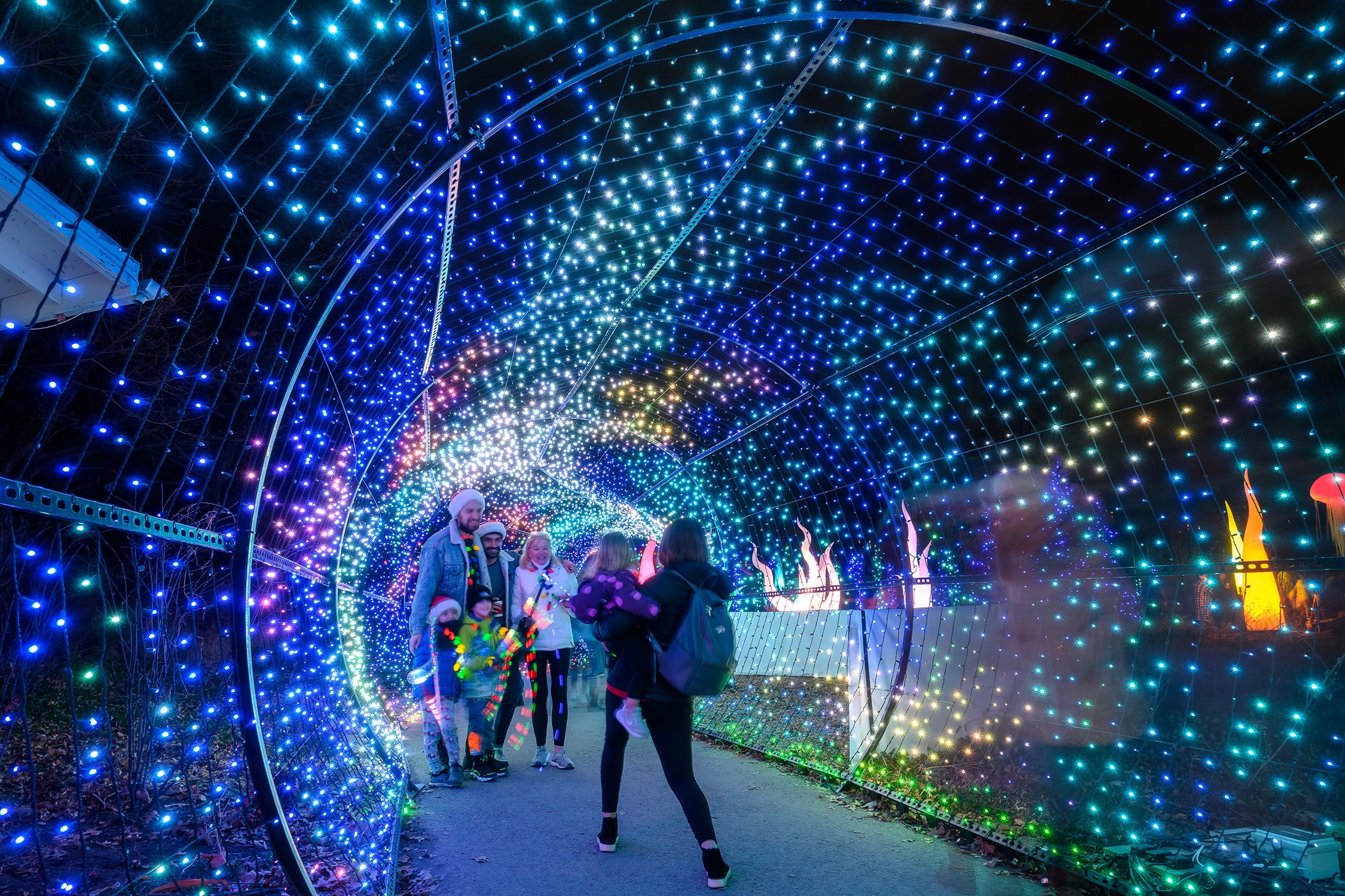 Philadelphia Zoo brings back 'LumiNature' holiday show with more