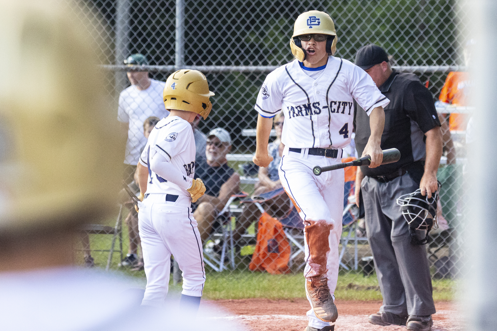 Michigan Little League State Championship 2022