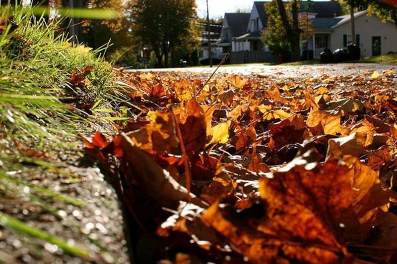 Bloomfield Twp, MI - Yard Waste Collection