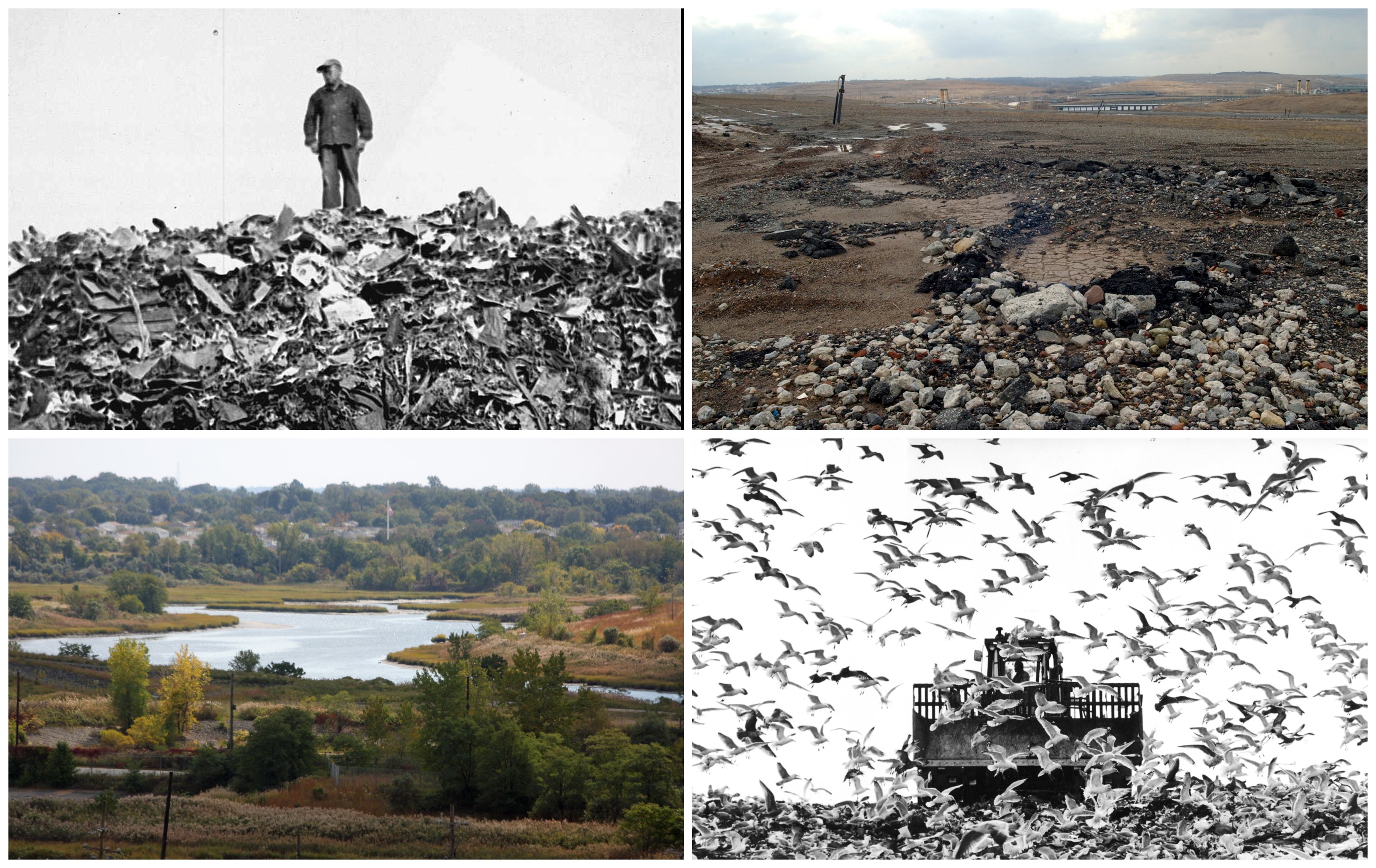 20 years later From odorfilled dump to lush park, Fresh Kills in photos