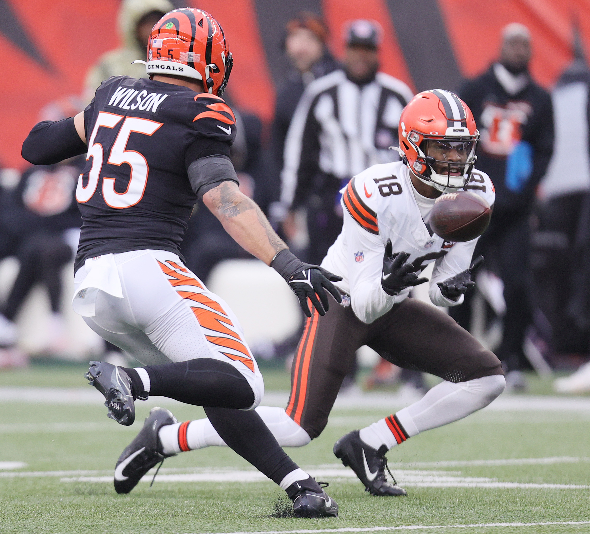 Cleveland Browns vs. Cincinnati Bengals, January 7, 2024