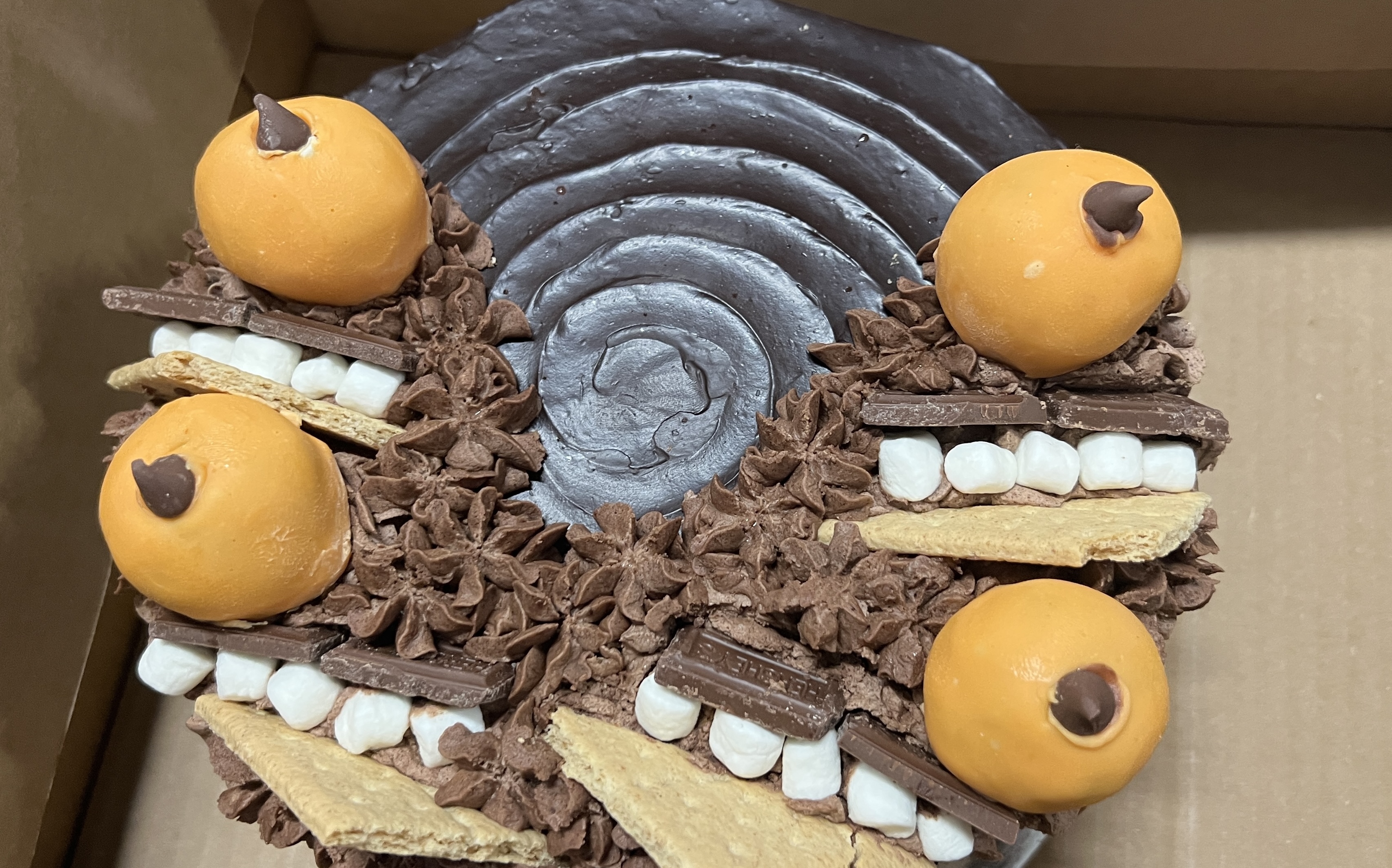 Winning chocolate cake at Pa. Farm Show 2026 is chocolate chip