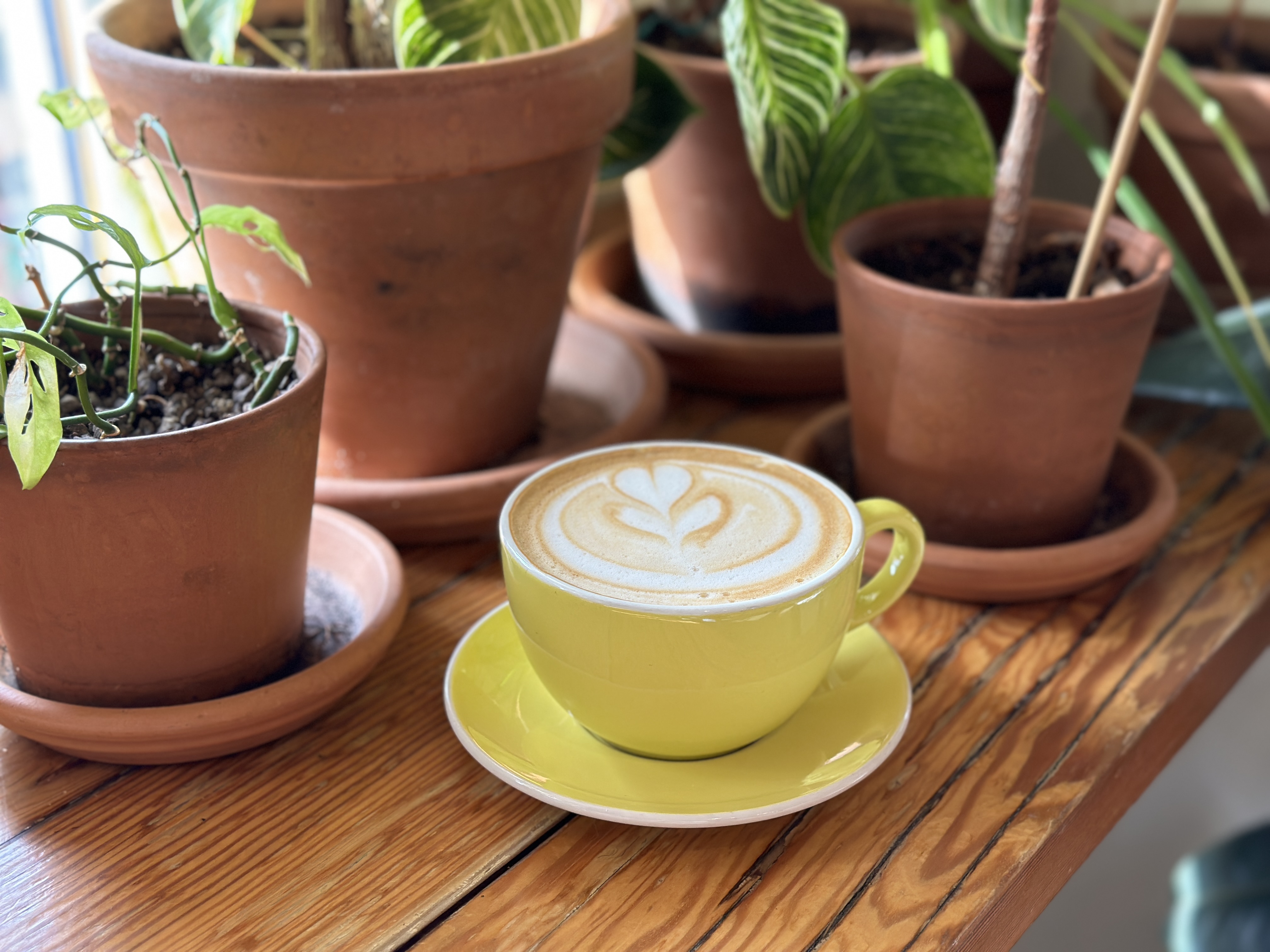 22 Portland fall coffee drinks that aren't a Starbucks pumpkin