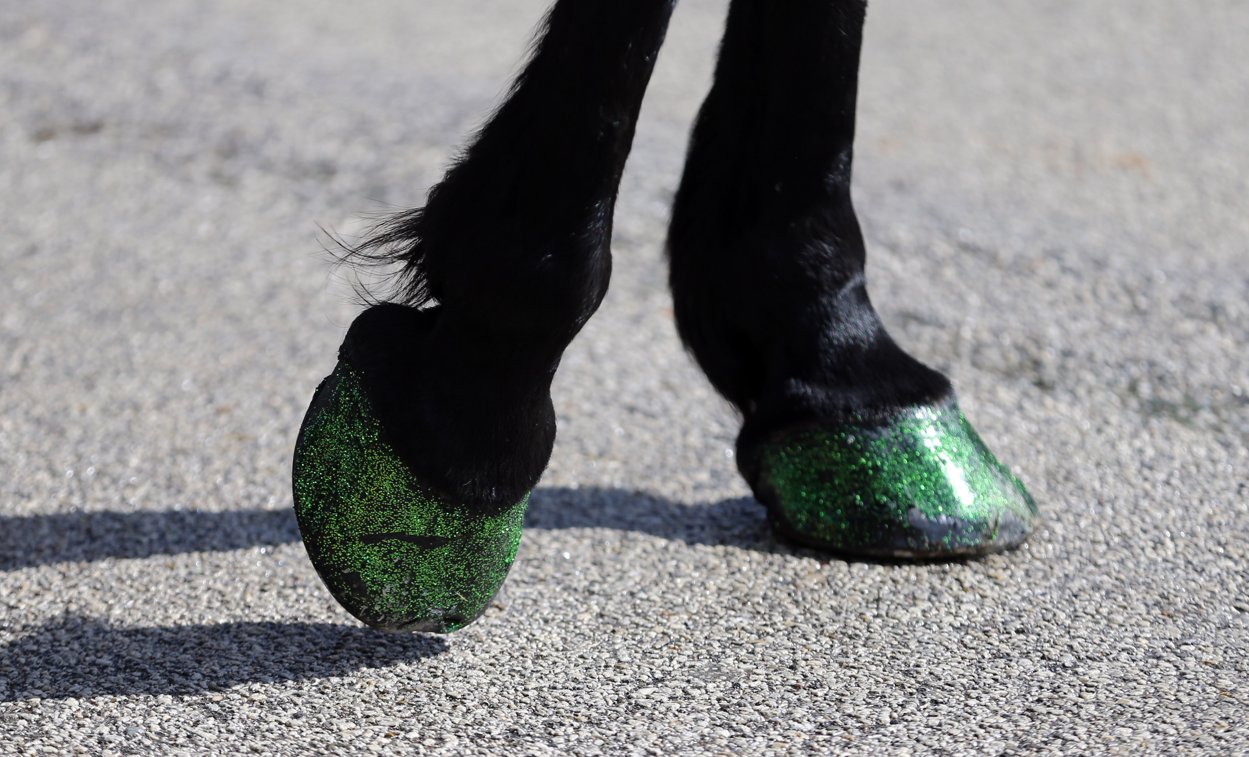 2024 Cleveland St. Patrick’s Day parade, March 17, 2024