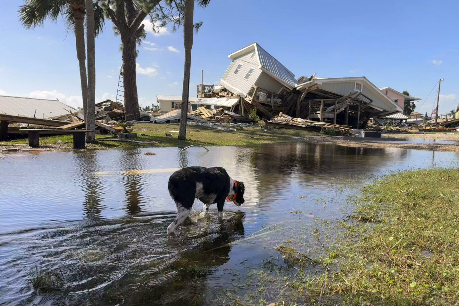 Hurricane Helene and its aftermath, September 2024 - pennlive.com