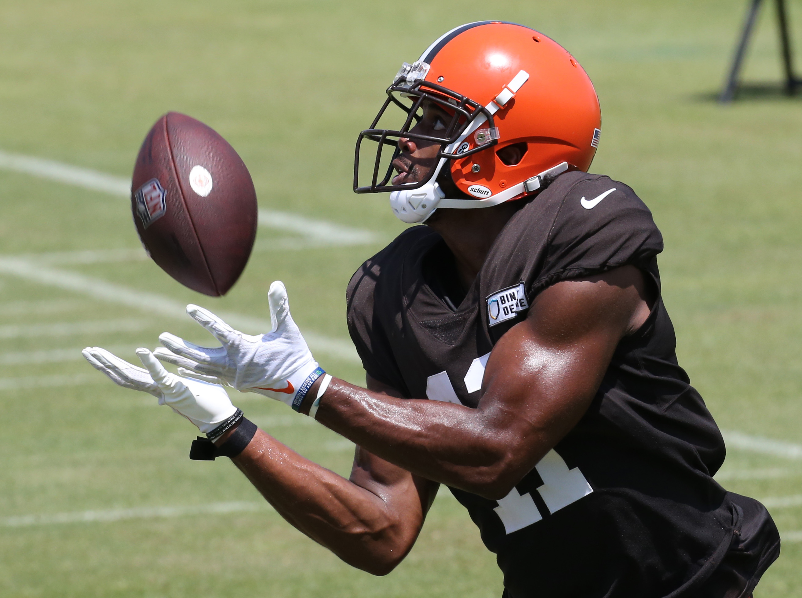 Cleveland Browns Training Schedule & Tickets for 2023 Dates