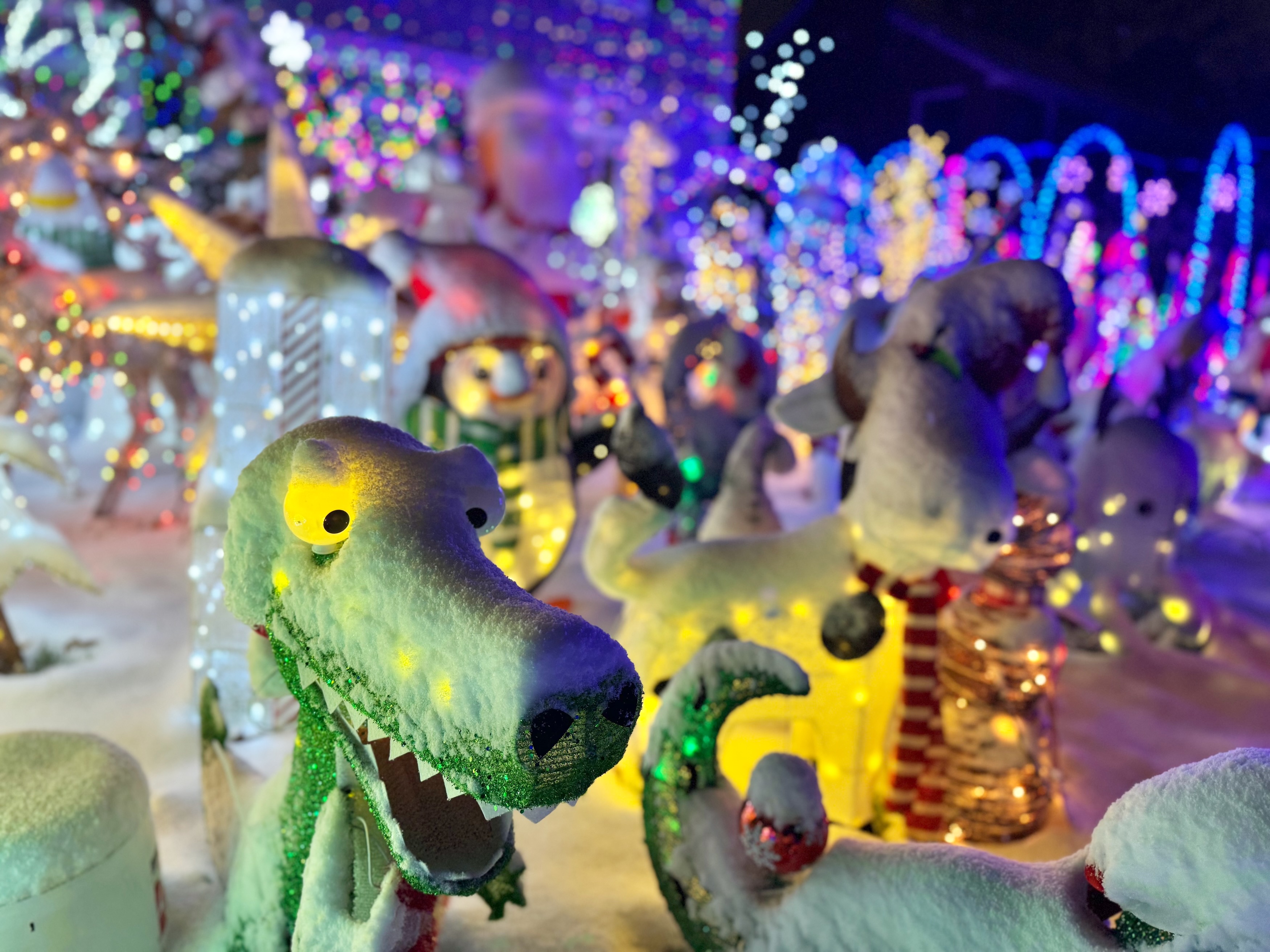And the award for most Christmas decorations in Ann Arbor goes to