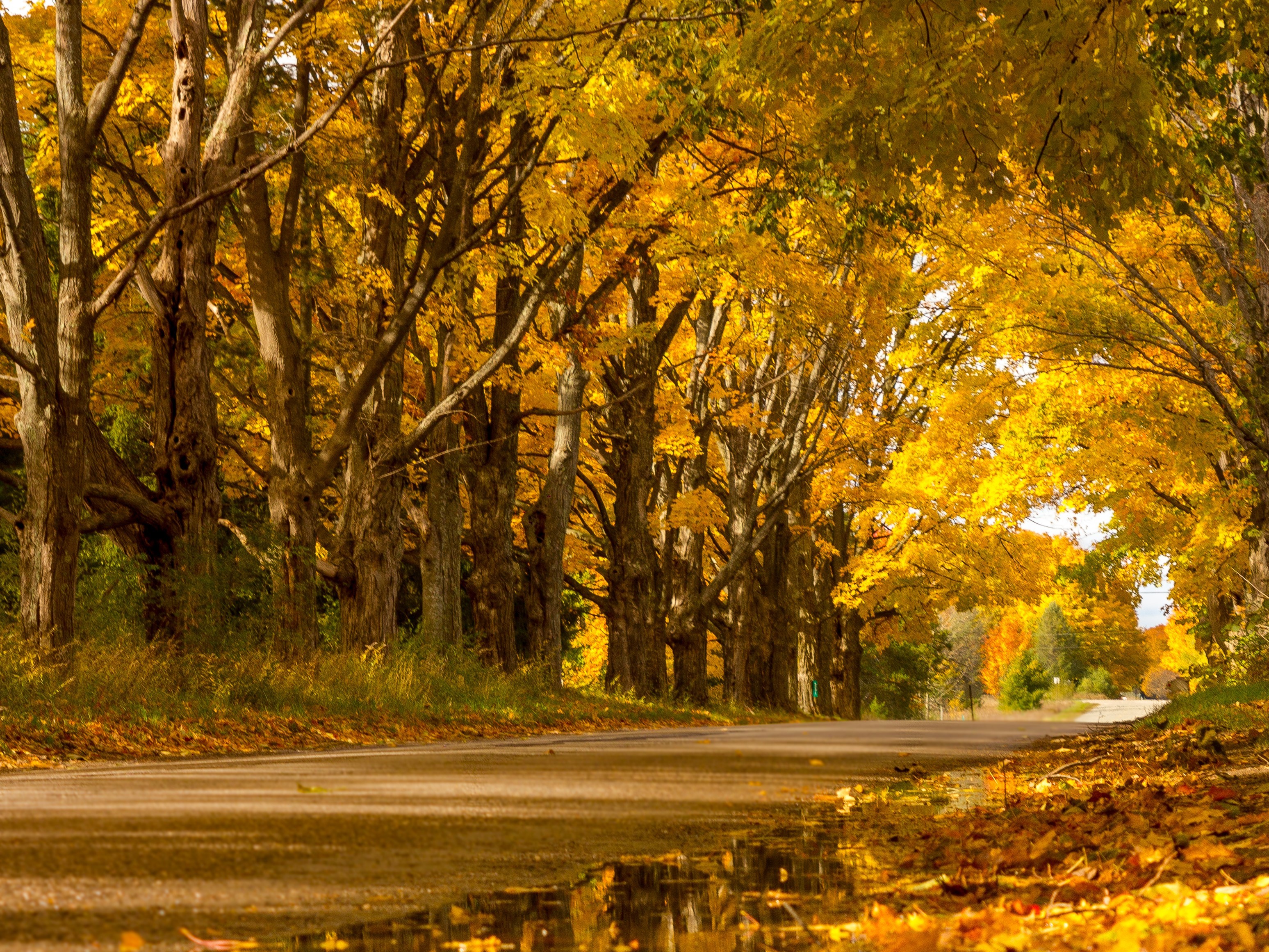 2 fall color routes for Lake Michigan, inland scenic drives as