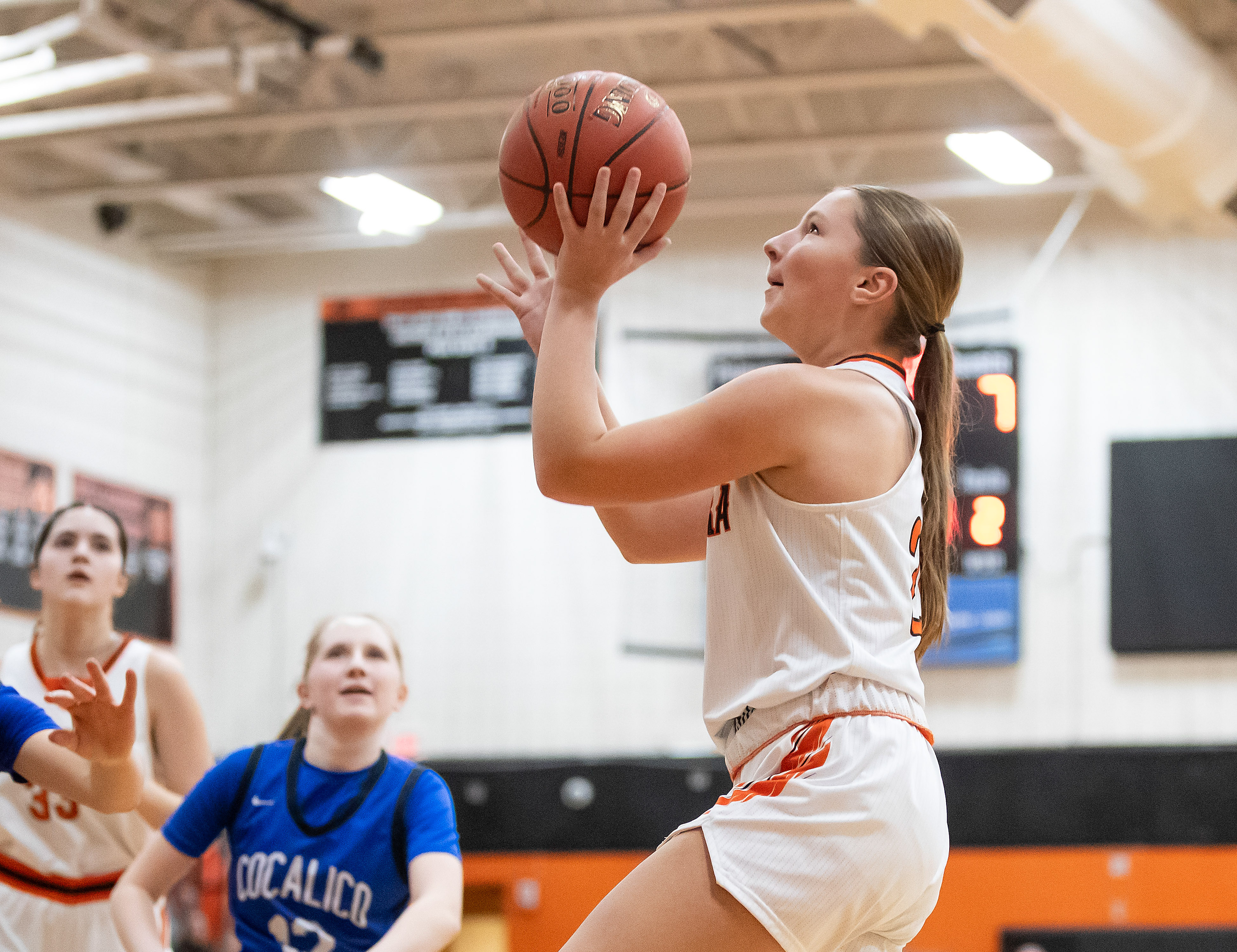 Palmyra defeats Cocalico 33-19 in District 3-5A girls basketball game ...