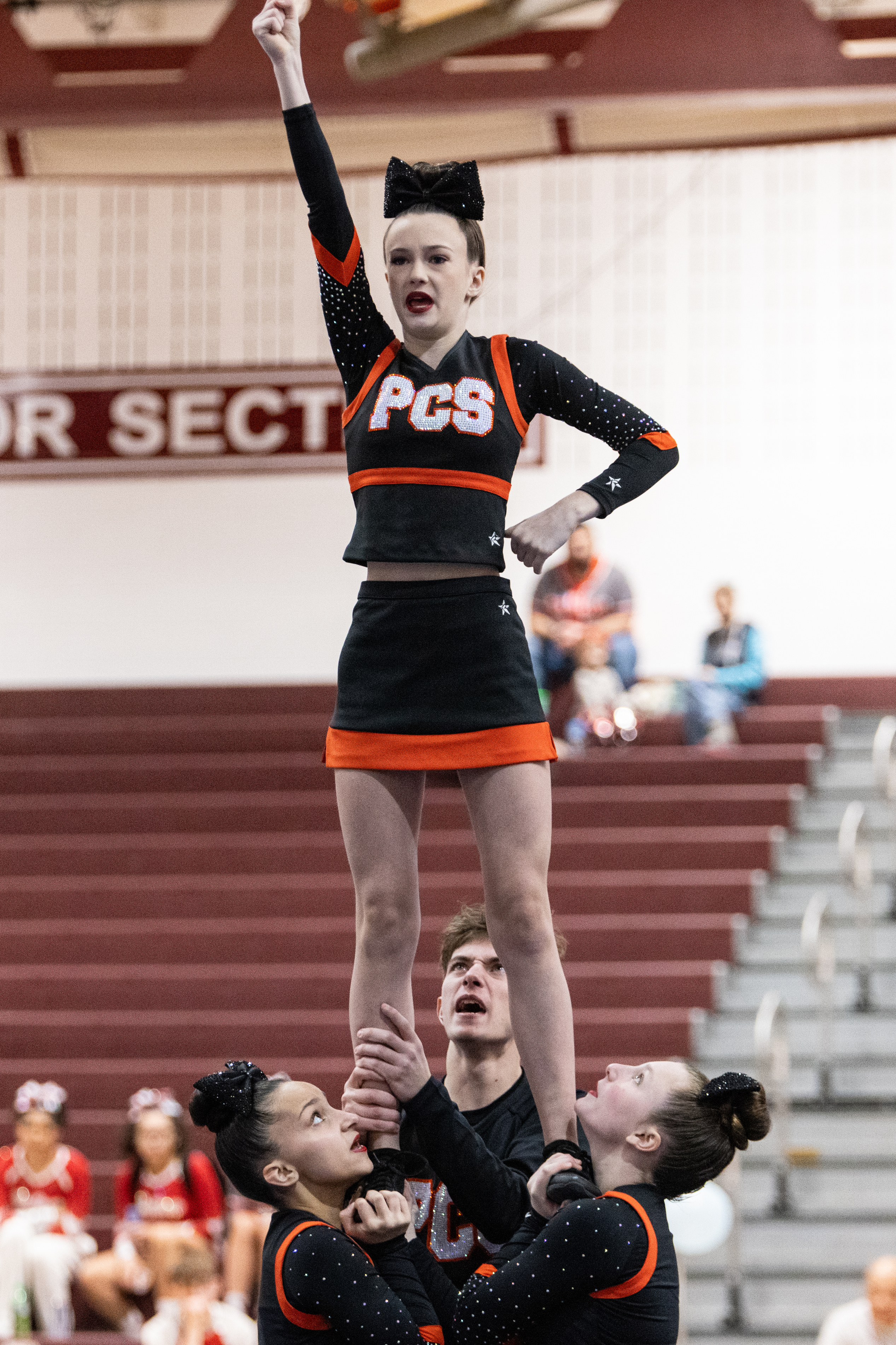 Auburn Sleigh the Day Cheer Competition - syracuse.com
