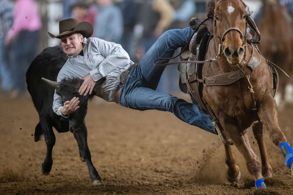 Pa Farm Show Rodeo Pennsylvania high school students compete in rodeo at the Farm Show ...