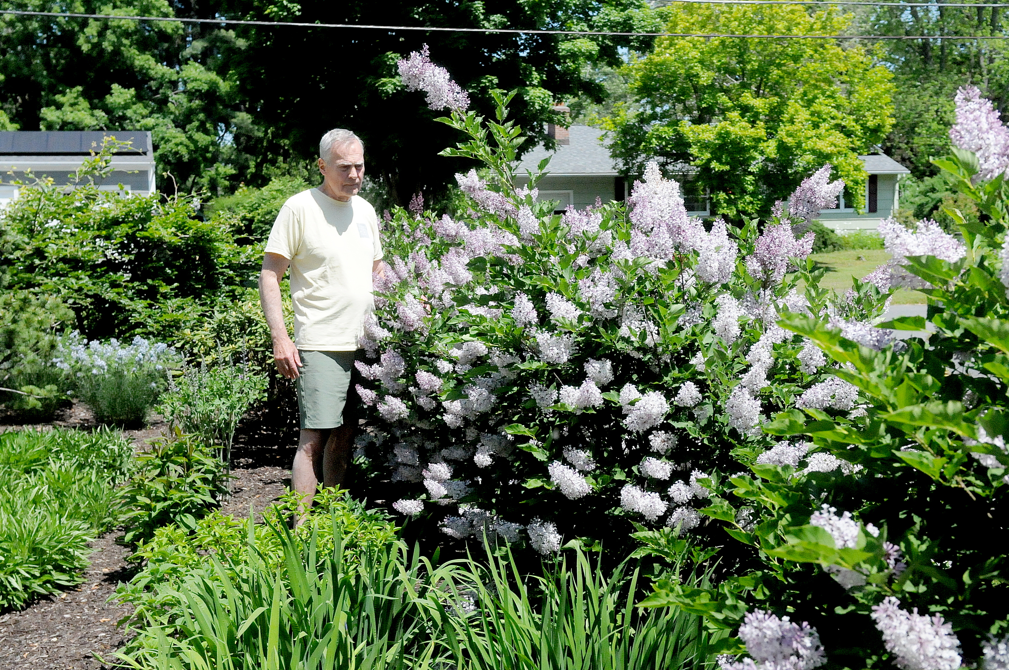 The Many Benefits Of Gardening – Forbes Home