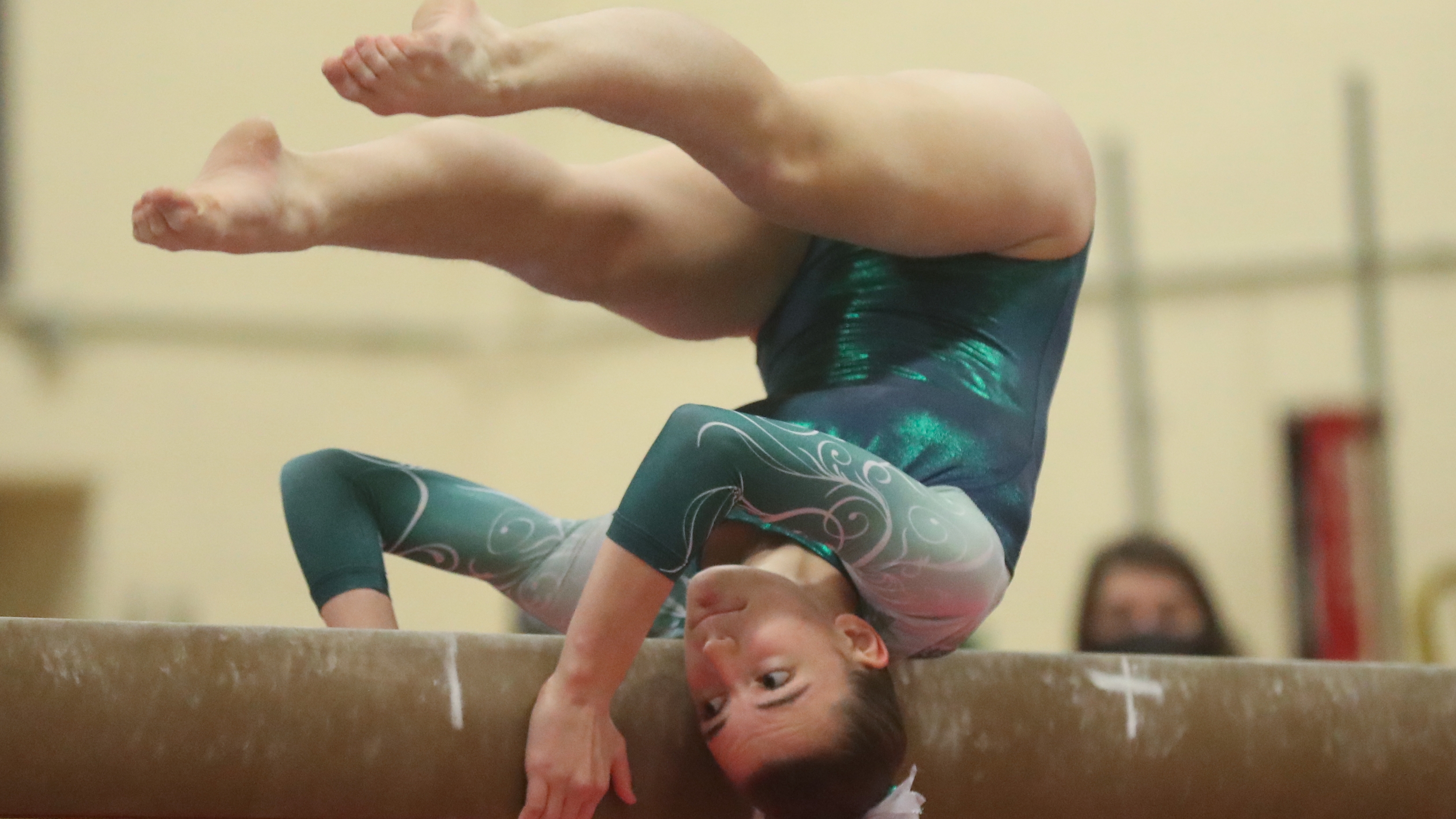 HHS gymnasts capture Skyland title – Central Jersey Archives