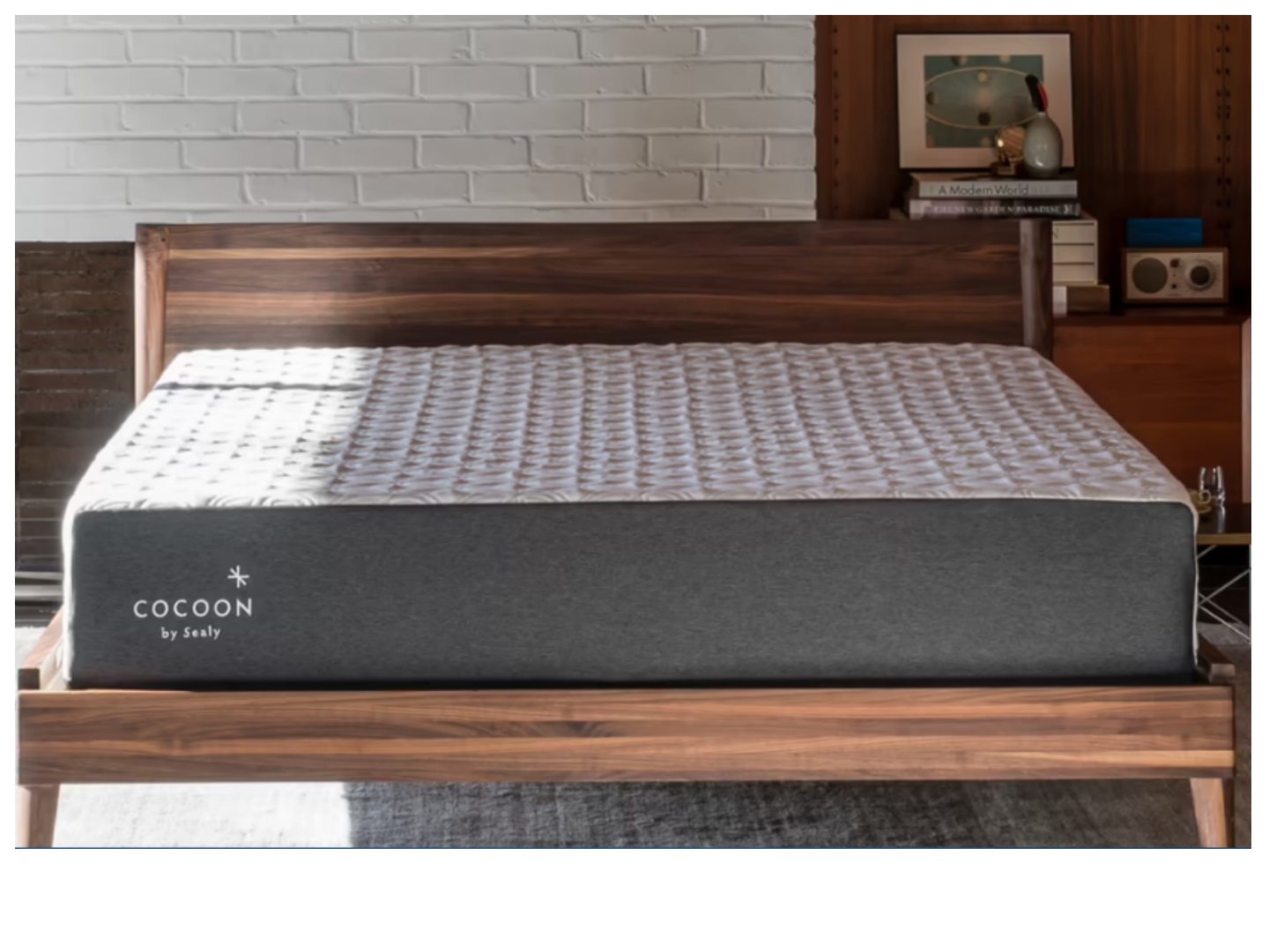 cocoon by sealy free shipping