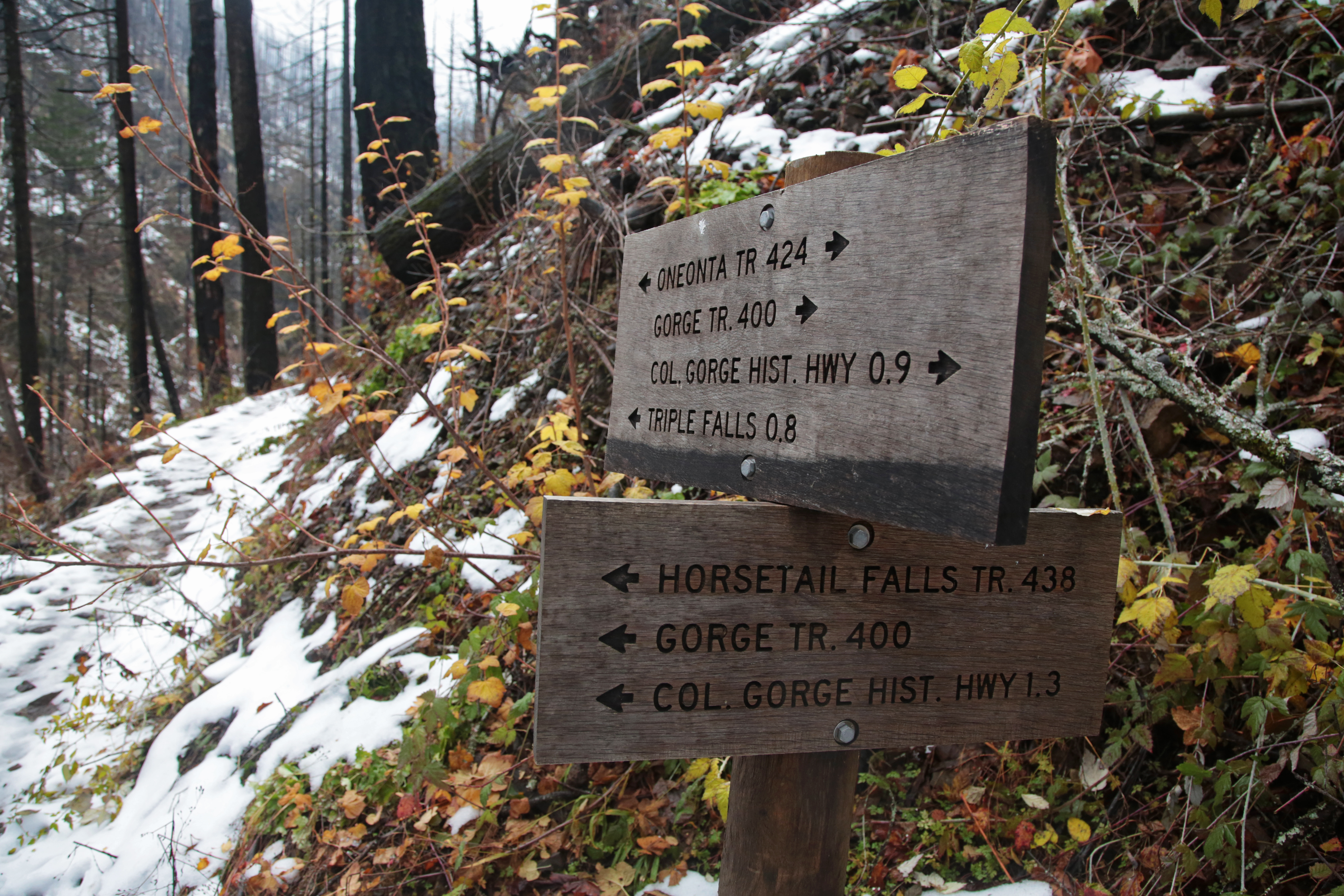 Columbia Gorge Hike - Triple Falls