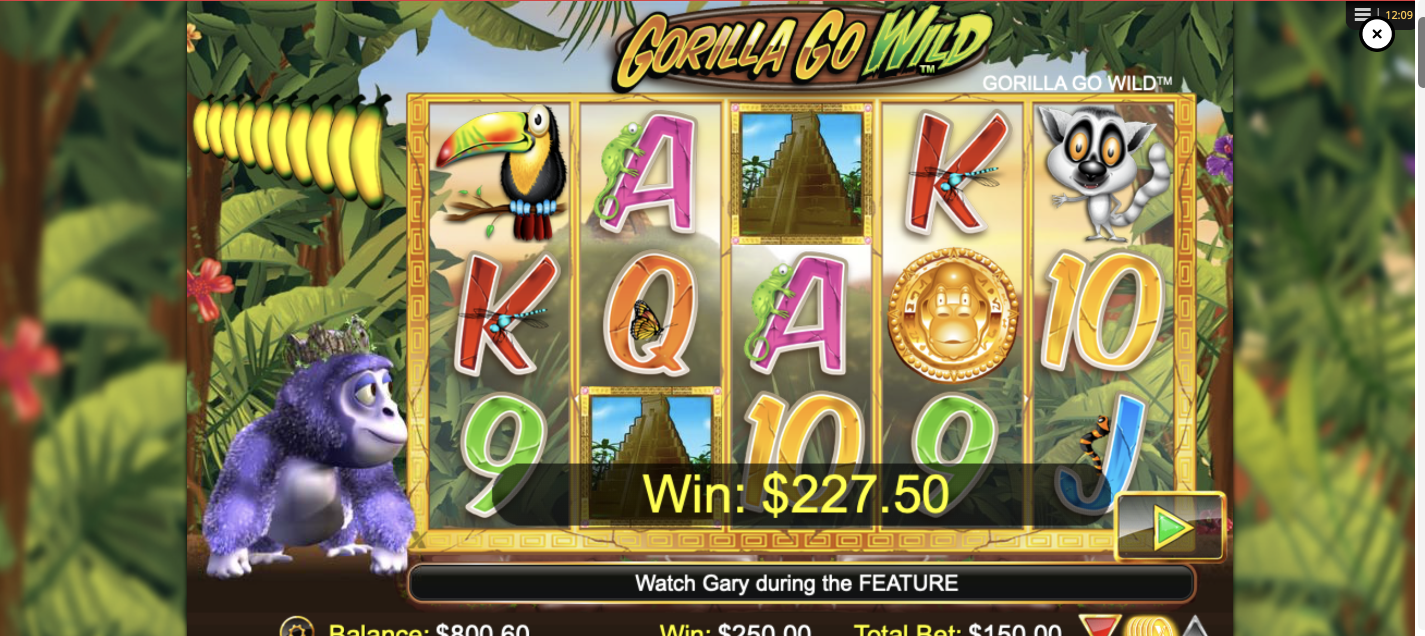 GorillaWins Casino: Payment Methods for UK Players — Review