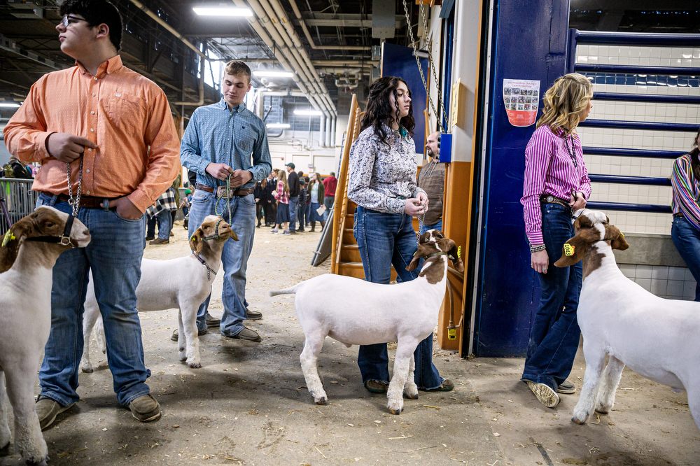 Pa. Farm Show 2023 Day 3 - pennlive.com