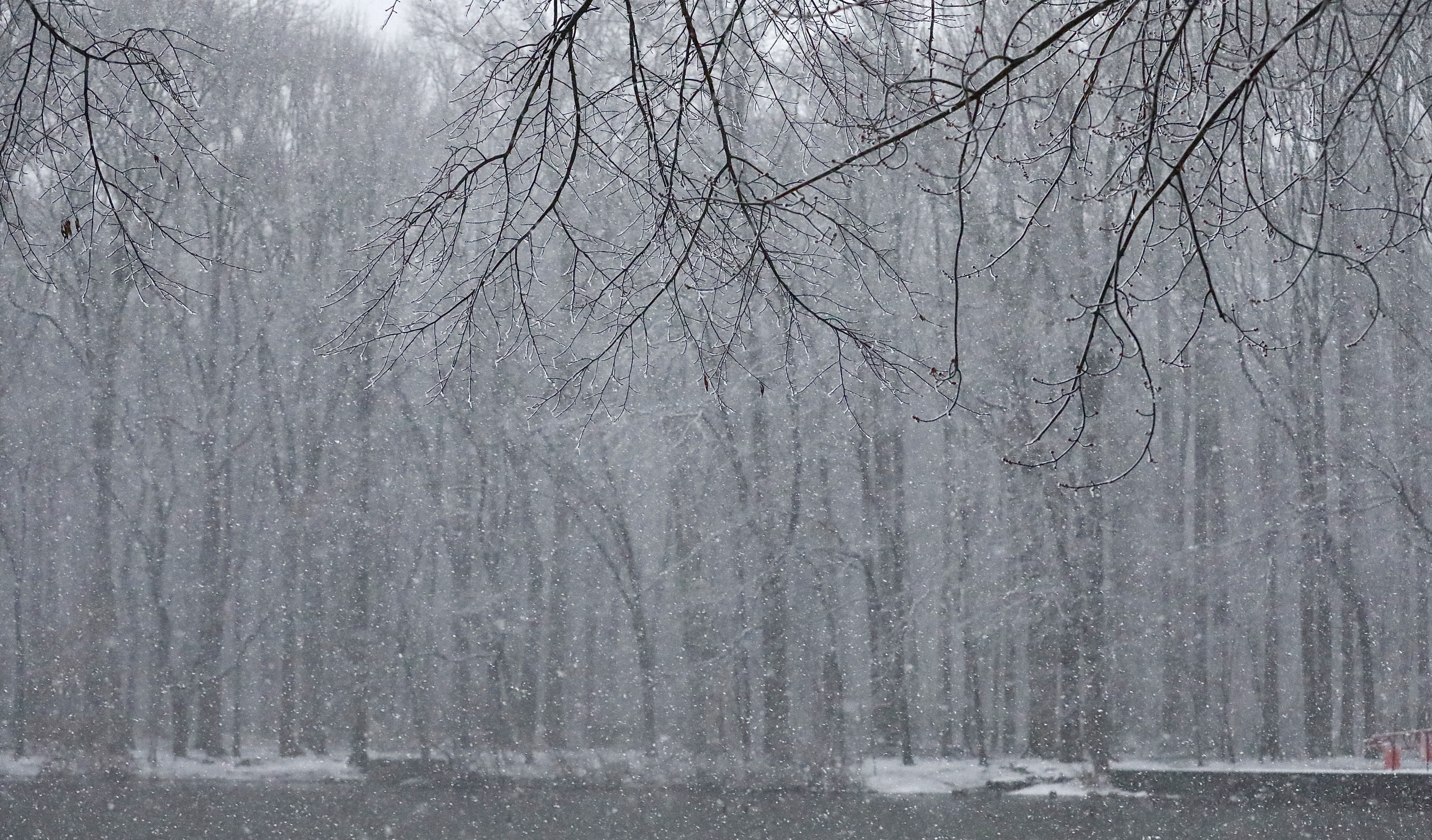 FELT  Ground Snow◆Icicle fall◆AbyssNova FELT 9th Album | Ground Snow