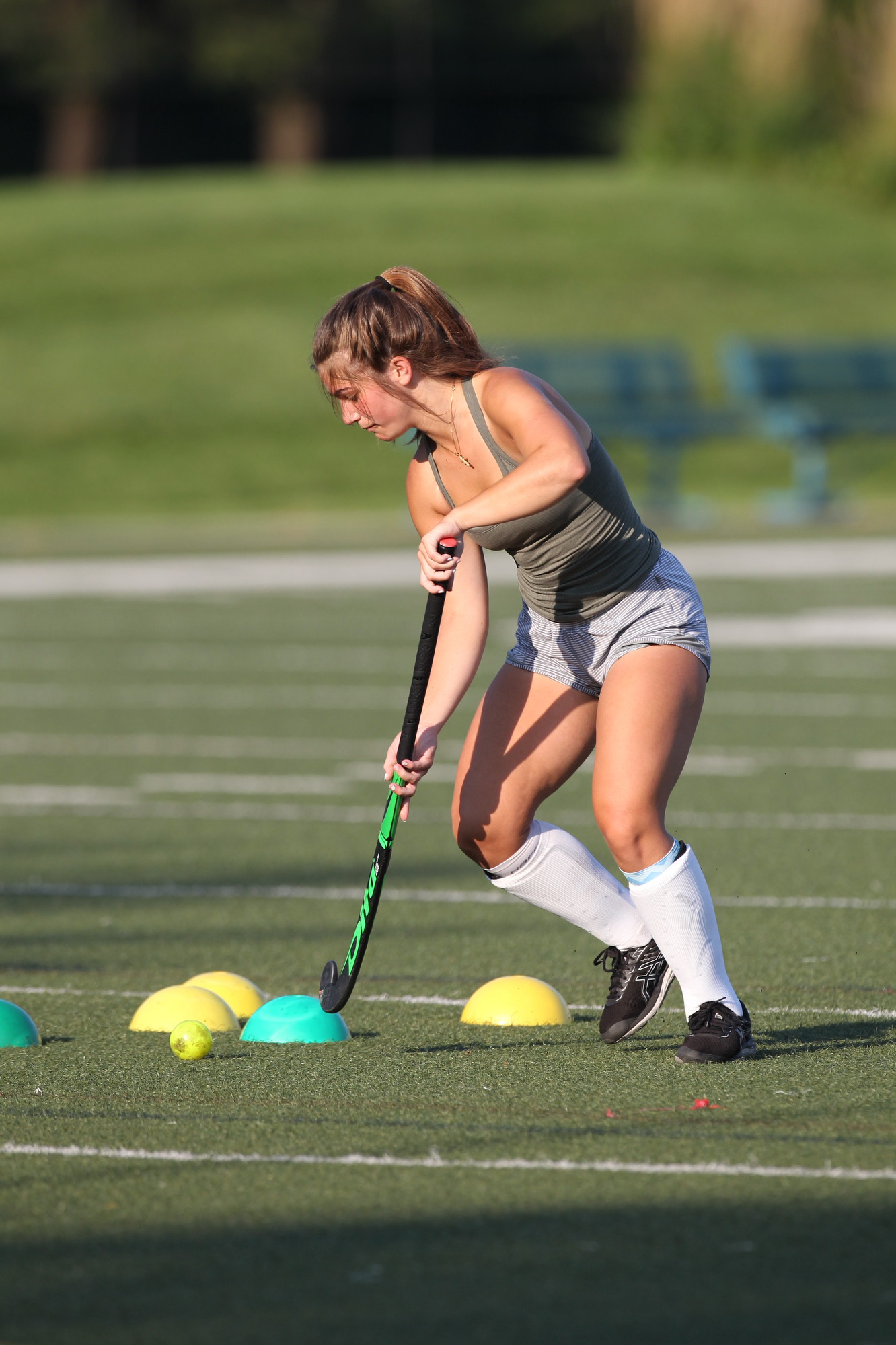 Hudson High School Field Hockey preview - cleveland.com