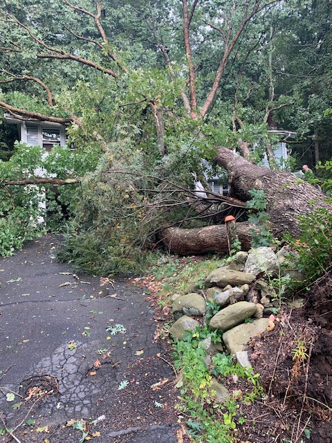 Thunderstorms leave damage across Massachusetts on Friday - masslive.com