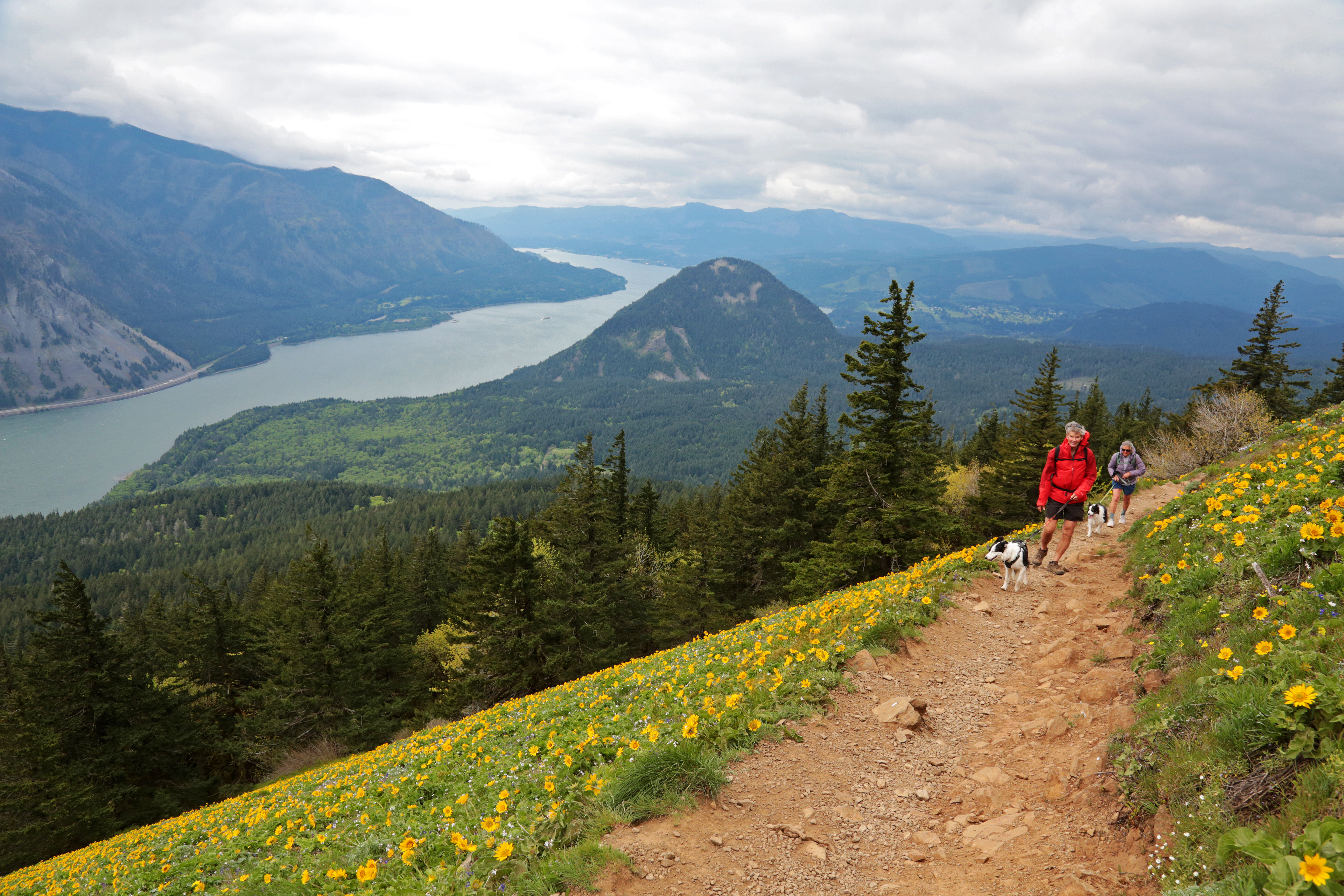 OLD MOUNTAIN 崇行 TO 昌平 Dog Mountain is one of the most amazing hikes in the Northwest