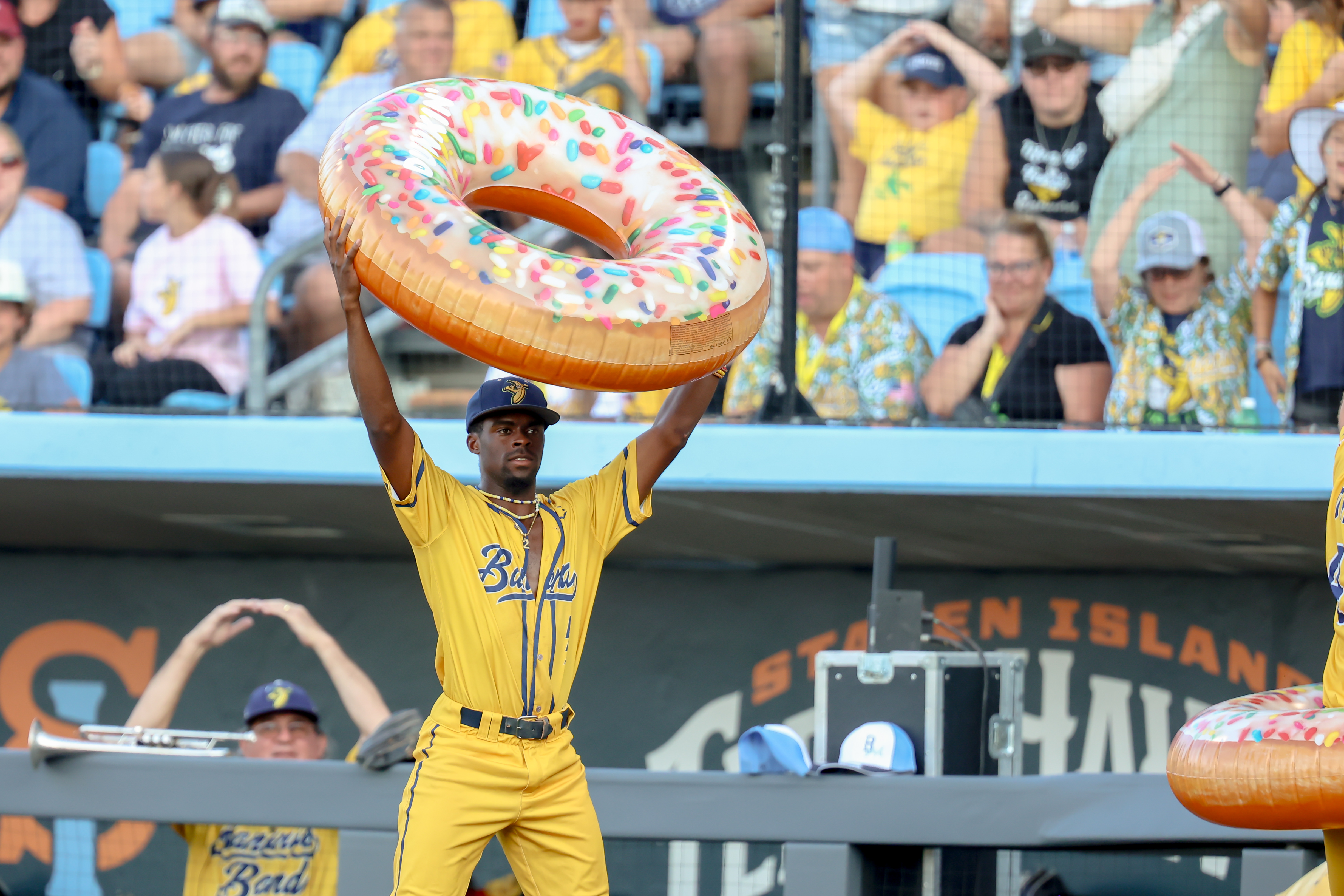 World's quirkiest baseball team, the Savannah Bananas, is headed to  FerryHawks' Community Park 