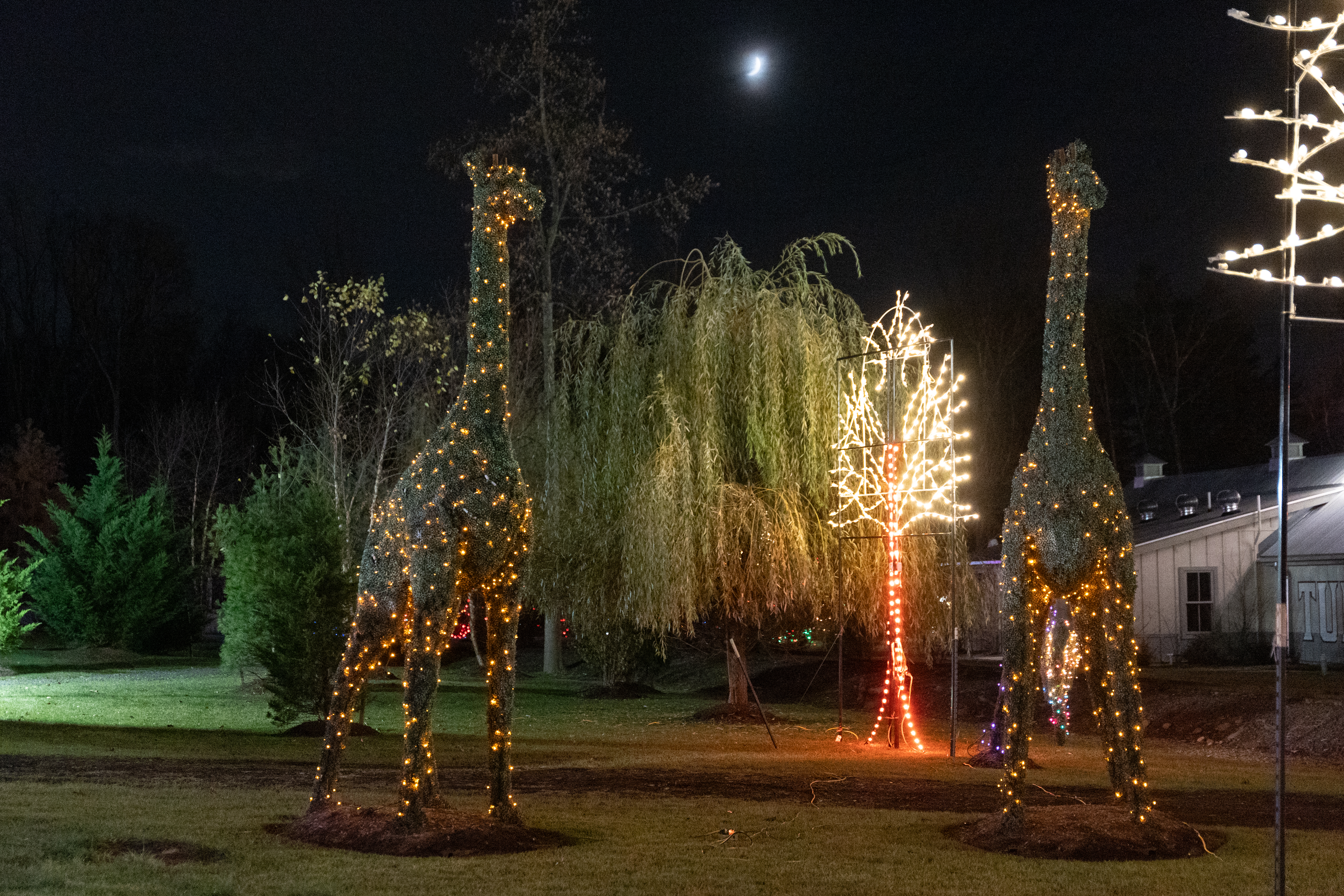 Essex County Turtle Back Zoo to host Holiday Lights Spectacular