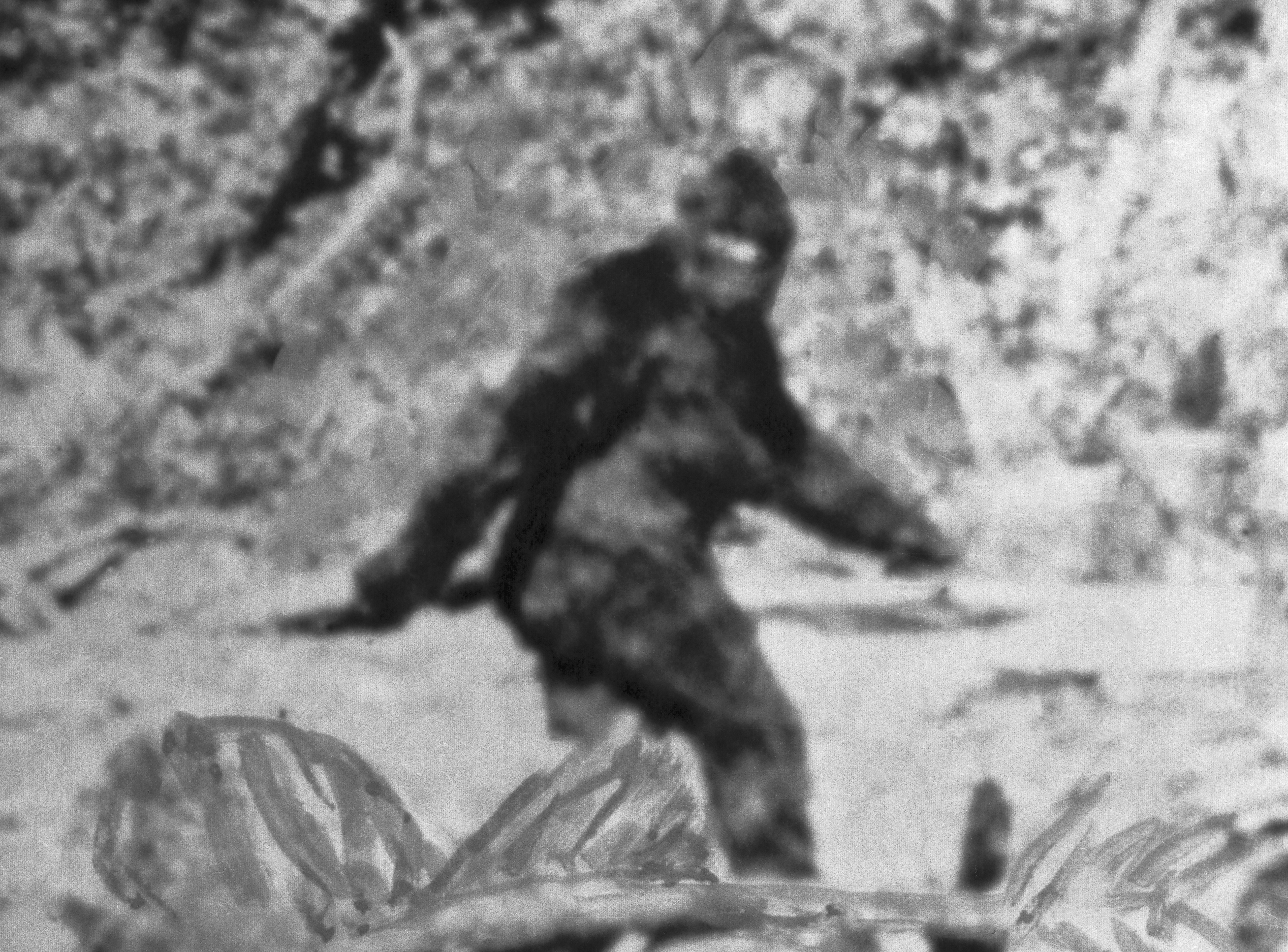 Is this evidence of Bigfoot in Colorado? – New York Post