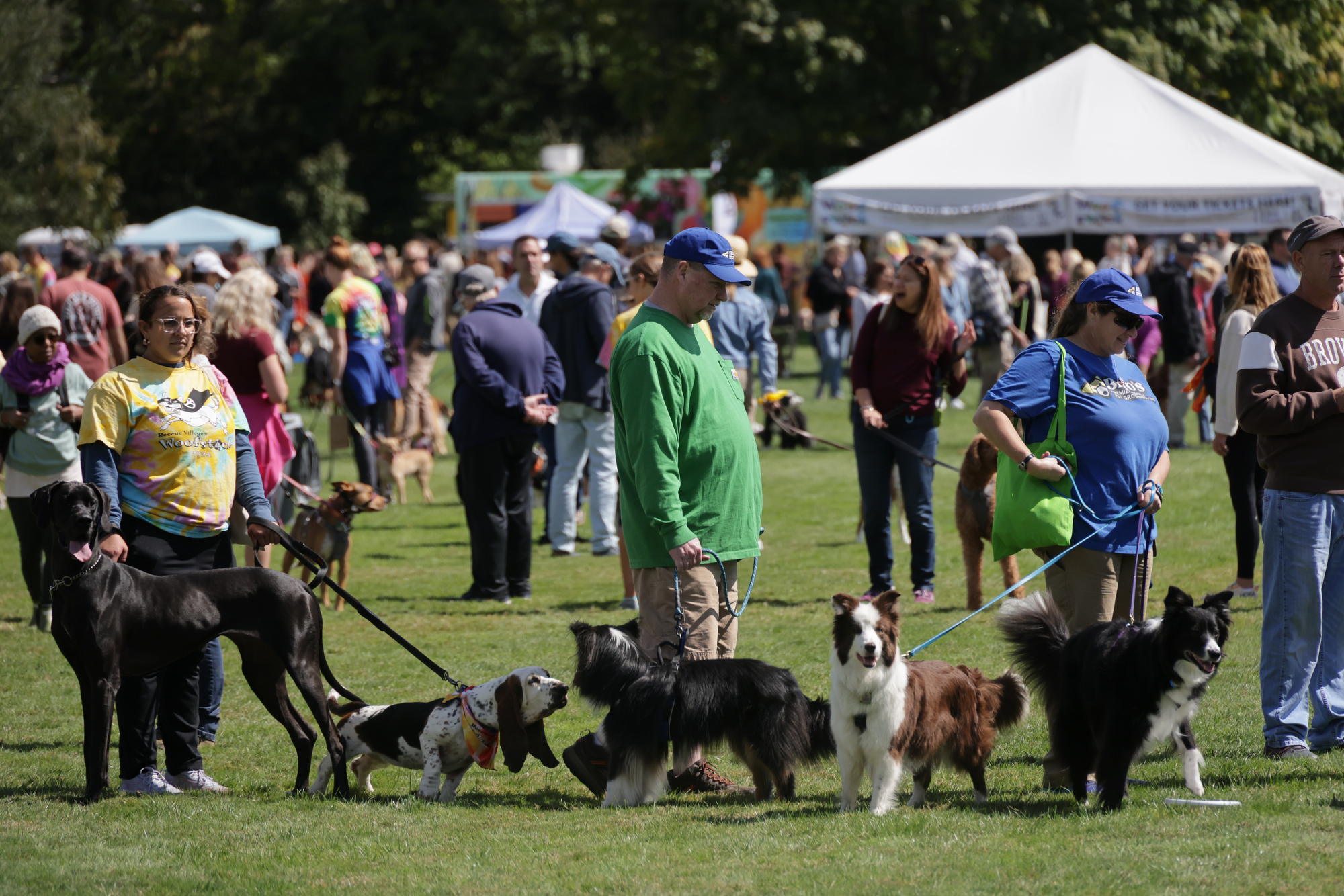 Woofstock 2024 in Chagrin Falls - cleveland.com