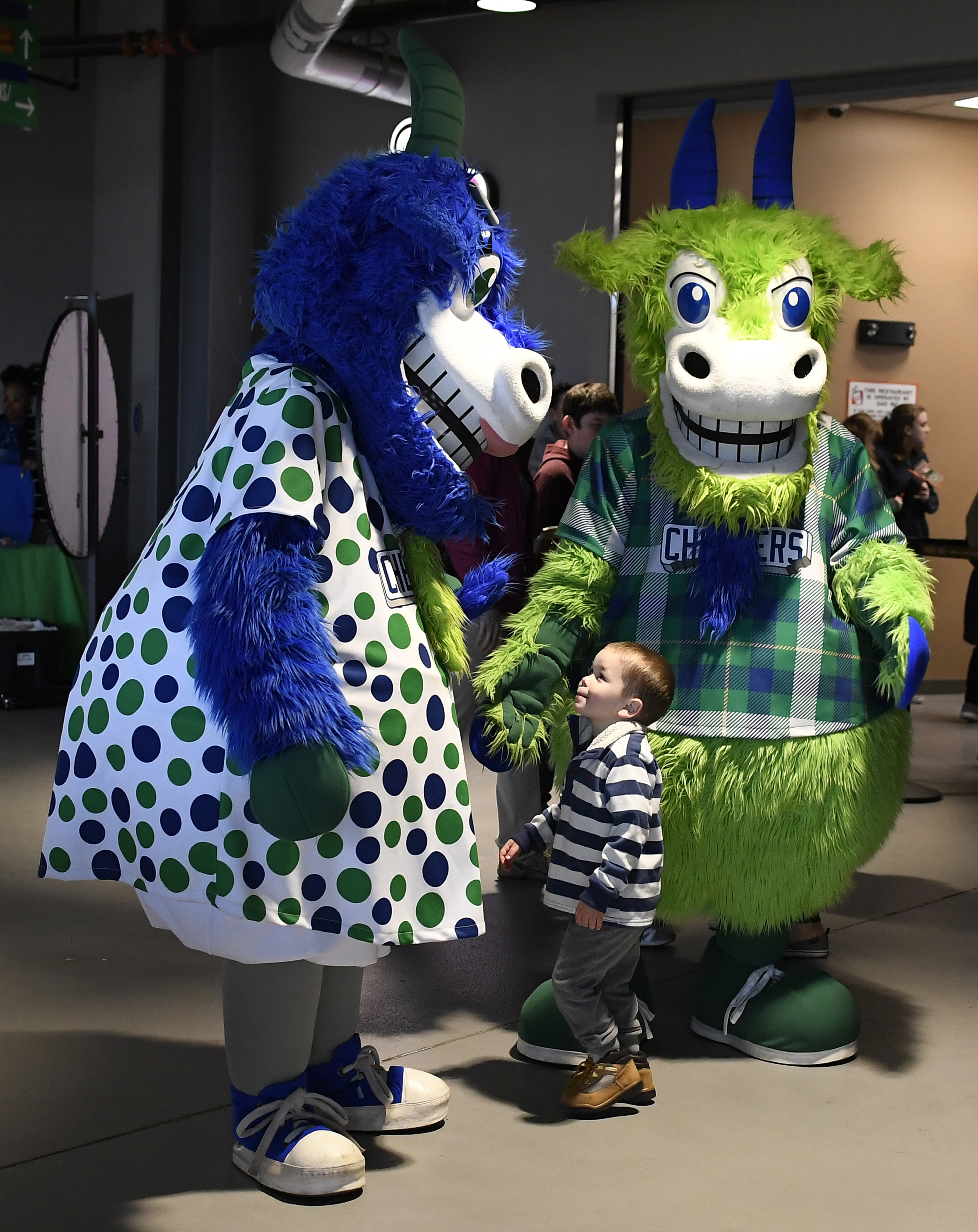 Yard Goats Announce Theme Nights for 2023 Home Games – NBC Connecticut