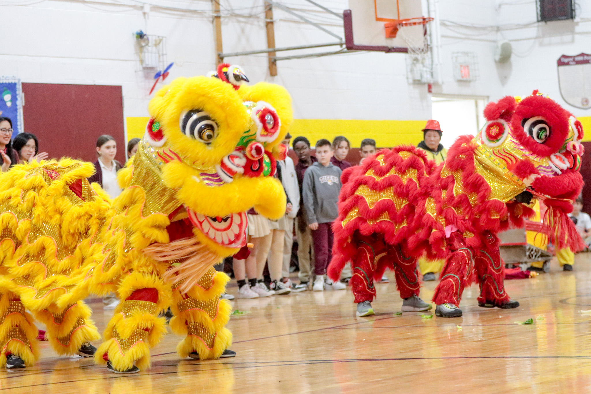 Lunar New Year Celebration silive