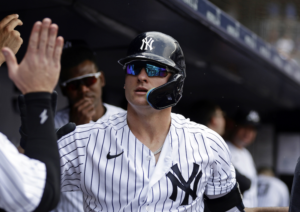 New York Yankees fans react as Josh Donaldson's return from injury