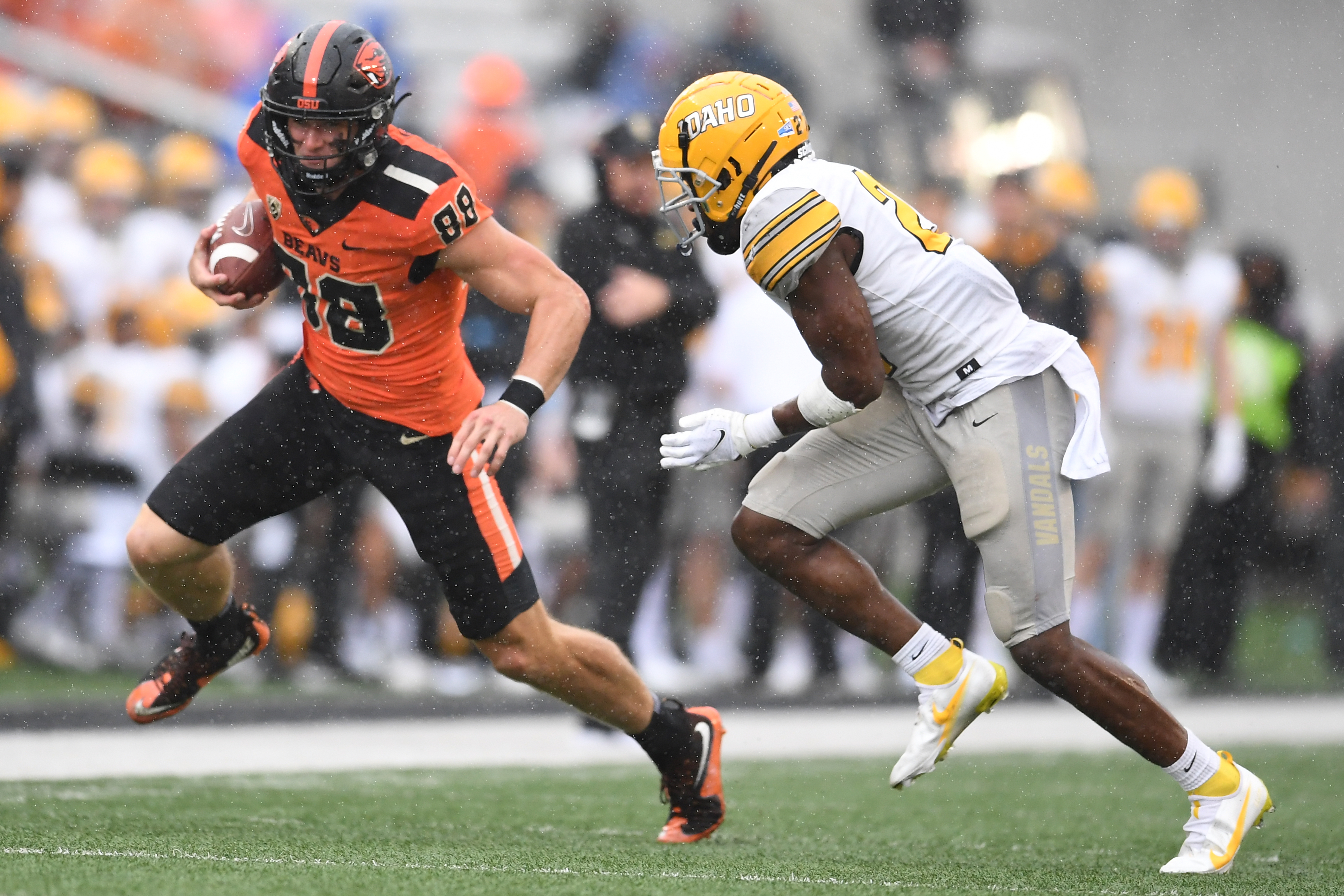 Oregon State's Luke Musgrave declares for the NFL draft : r/CFB