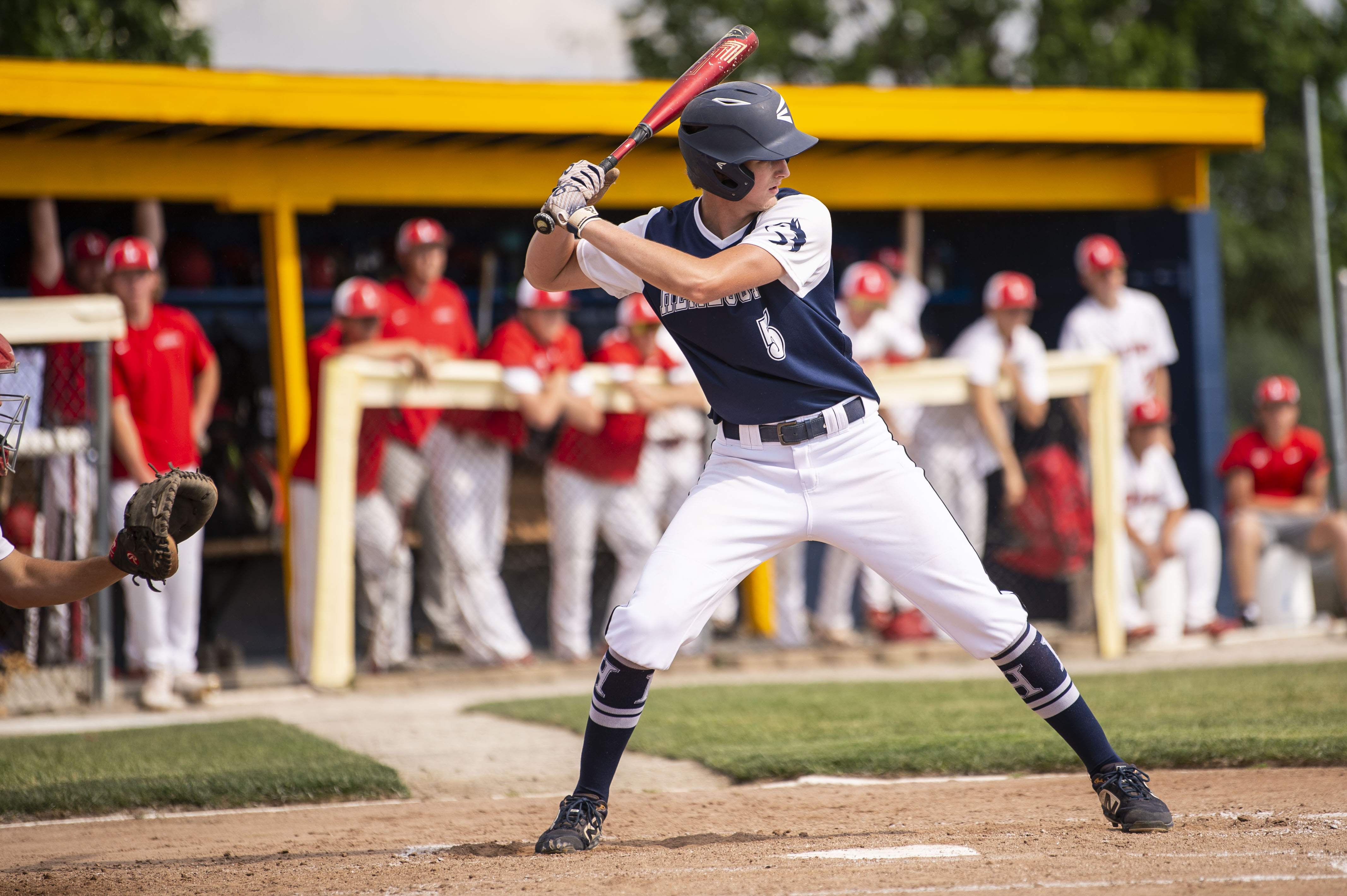 Hemlock baseball faces Laingsburg in Division 3 regional semifinal