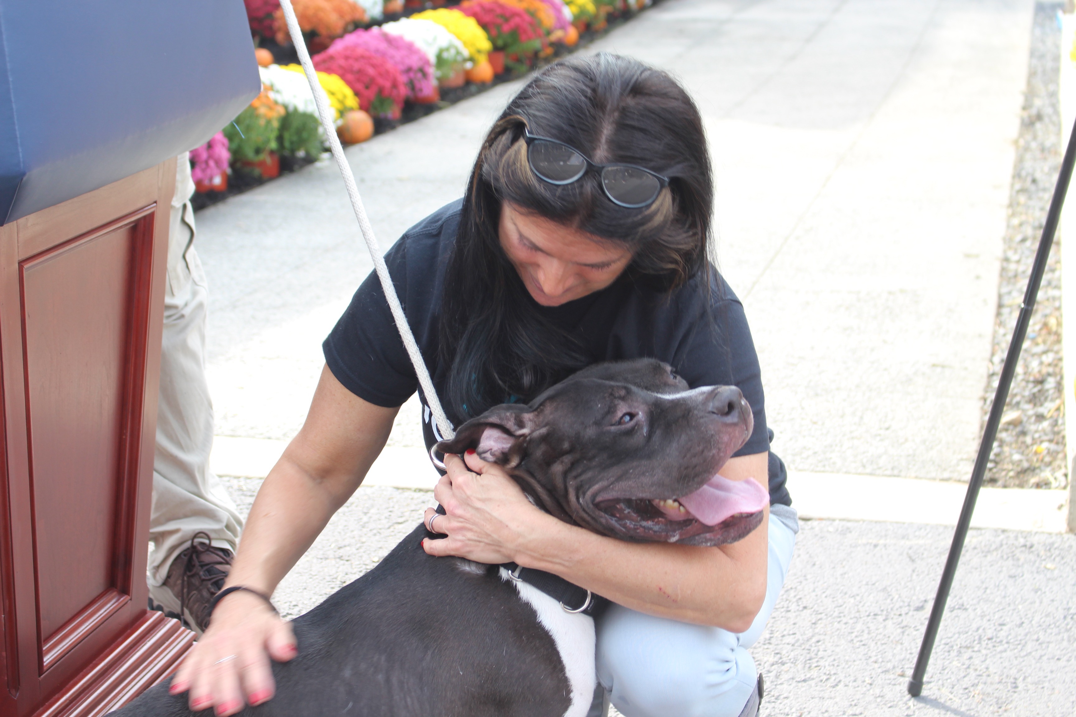 Petco's New Flagship at Manhattan's Landmark Tammany Hall Adopts 'Pet  Humanization' Store Model