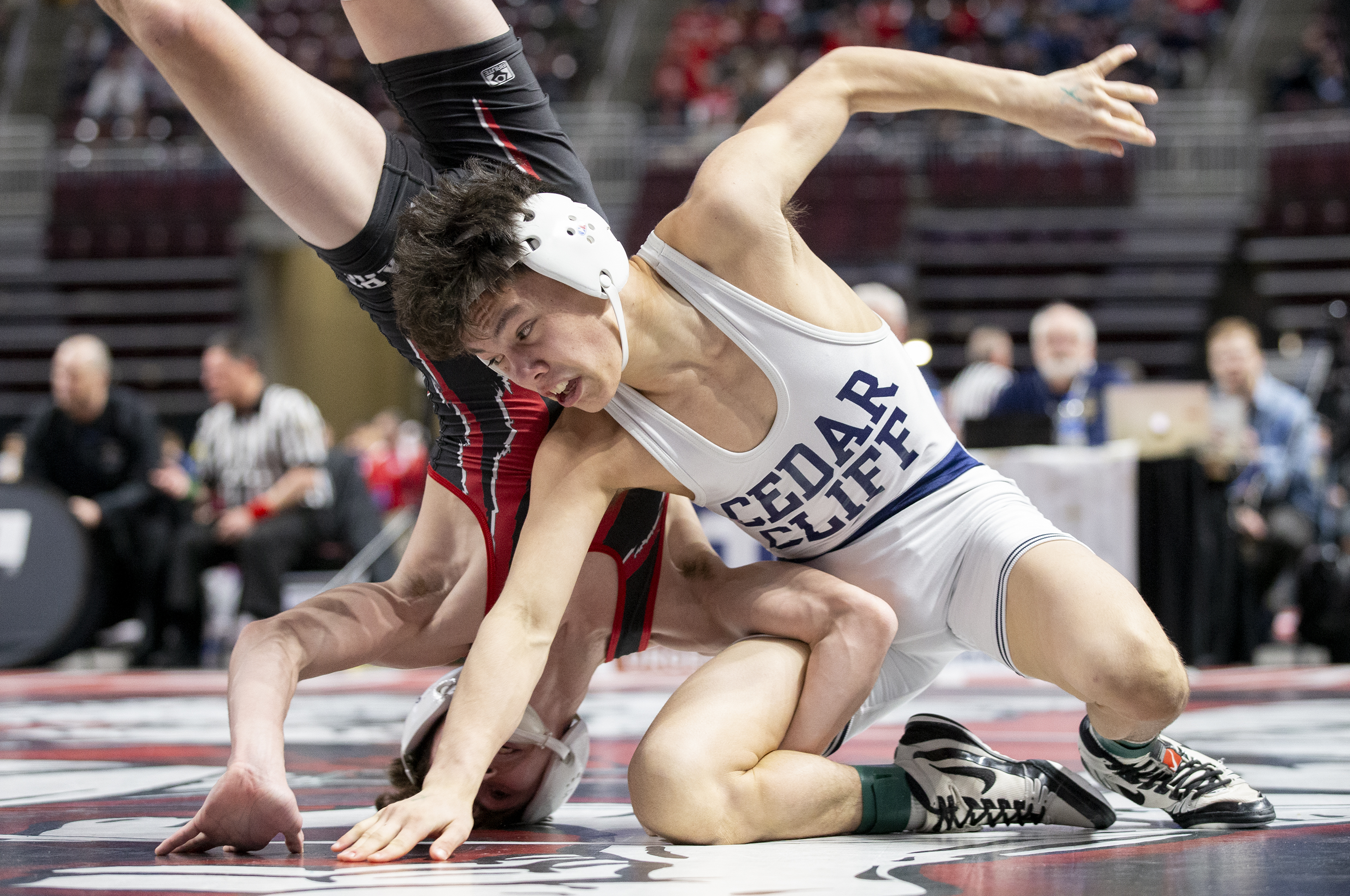 Mid Penn Commonwealth Division 21 Wrestling Preview Predictions And Preseason Wrestler Of The Year Pennlive Com