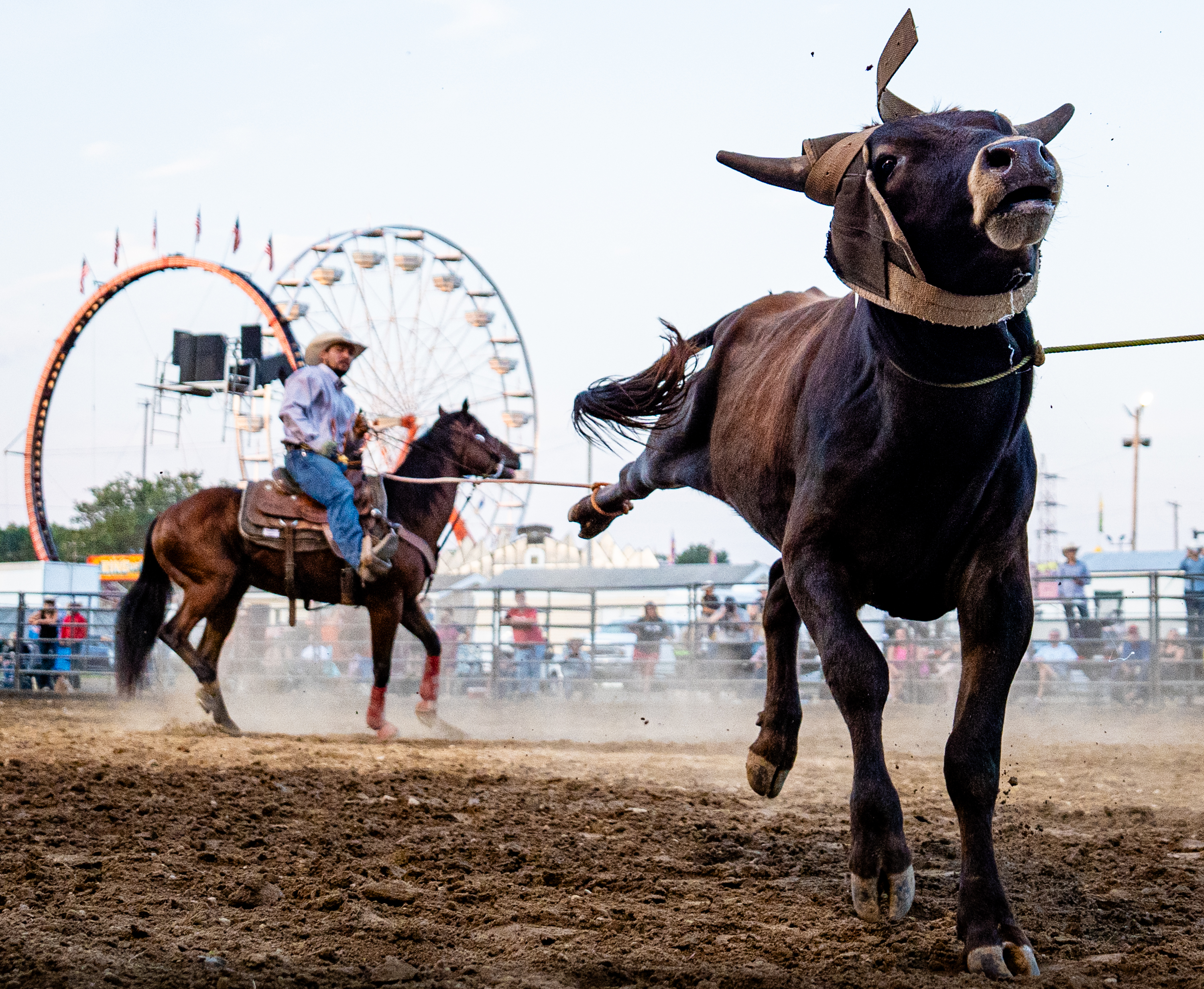 125 Michigan sports photos showcase biggest thrills and moments in 2024 ...