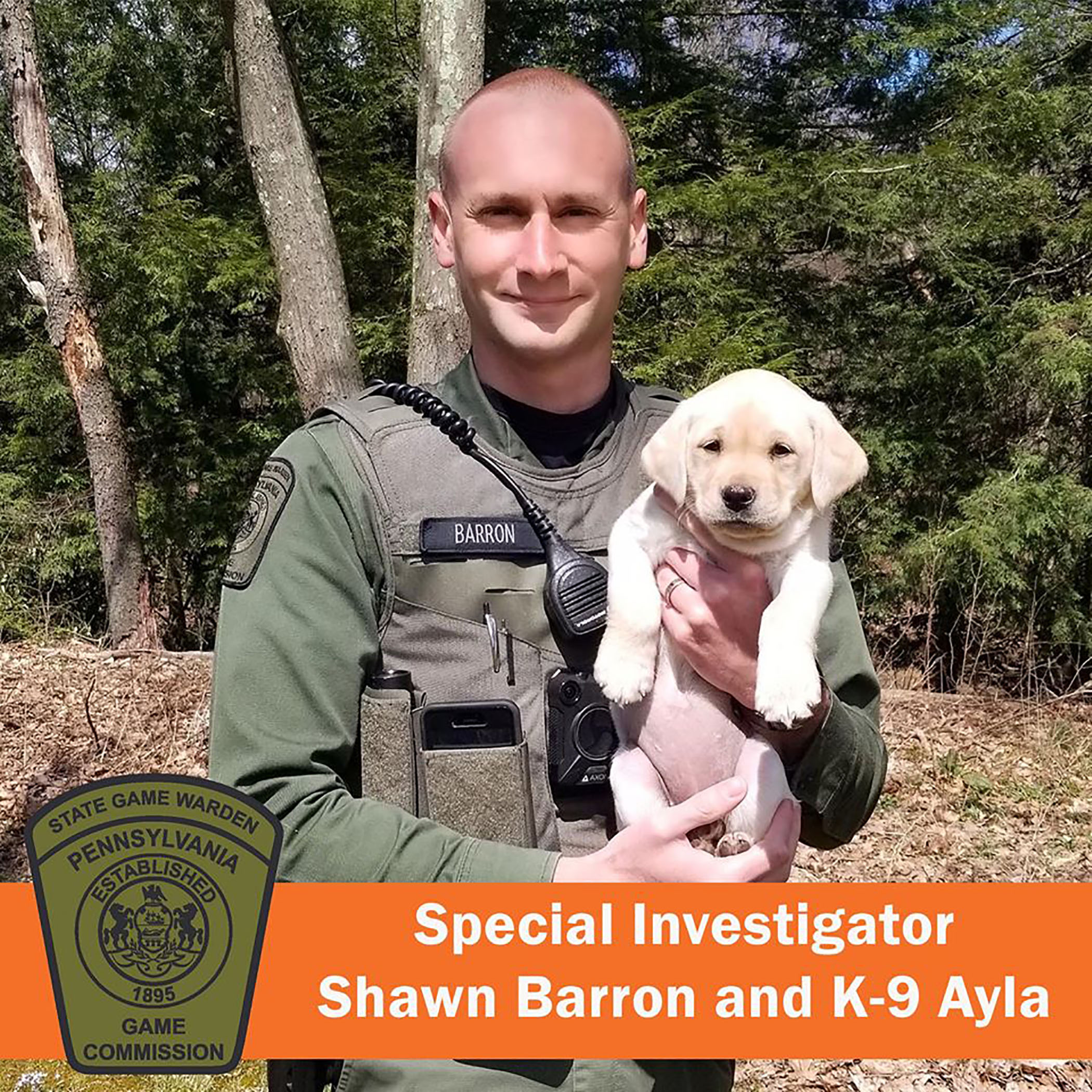 New puppies recruited into Game Commission's K-9 ranks - pennlive.com