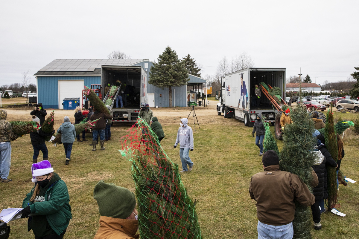 Volunteers gather to load Christmas trees for 'Trees for Troops