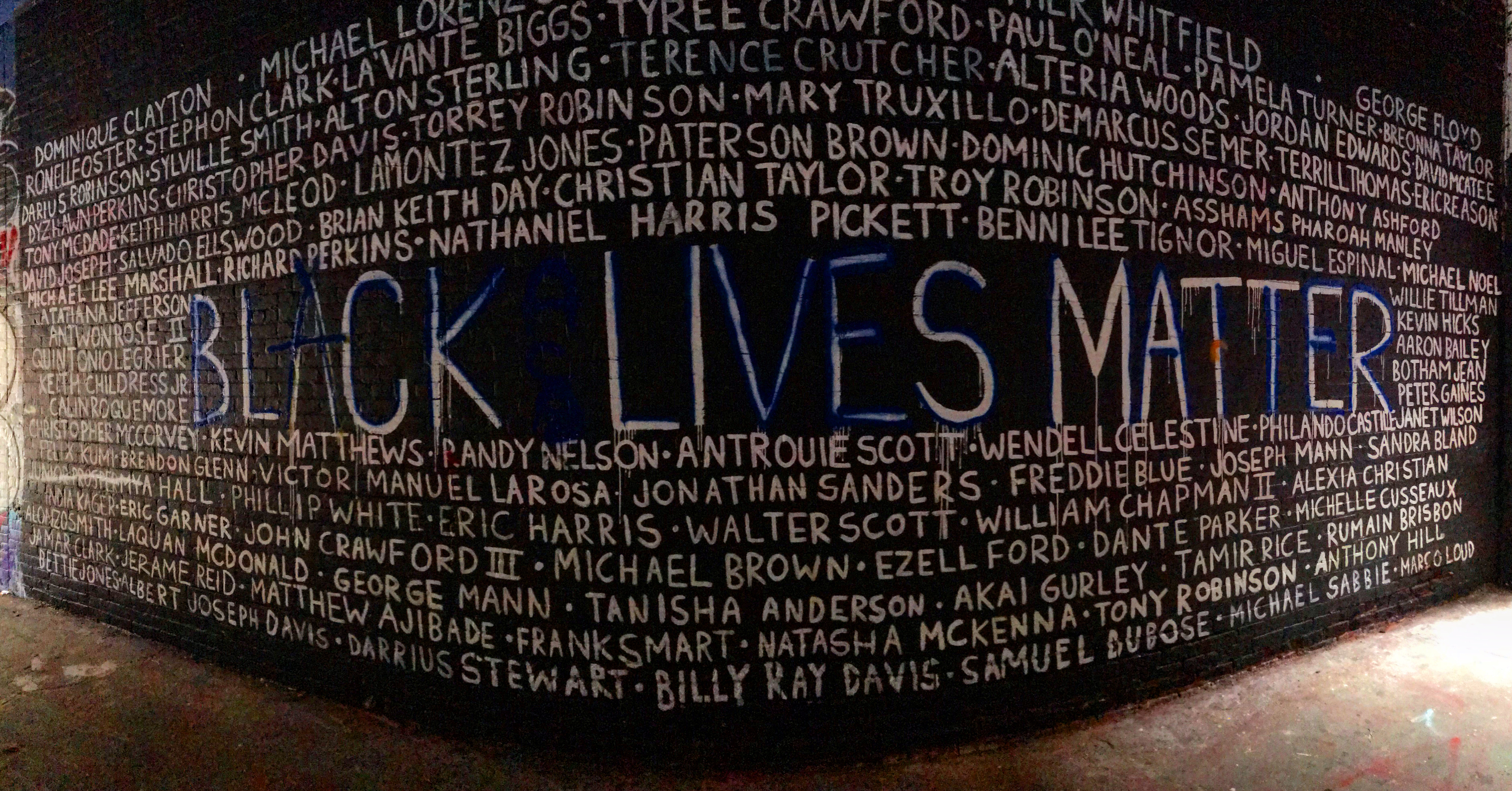 The names of the countless black people who have lost their lives to polic brutality and racism.