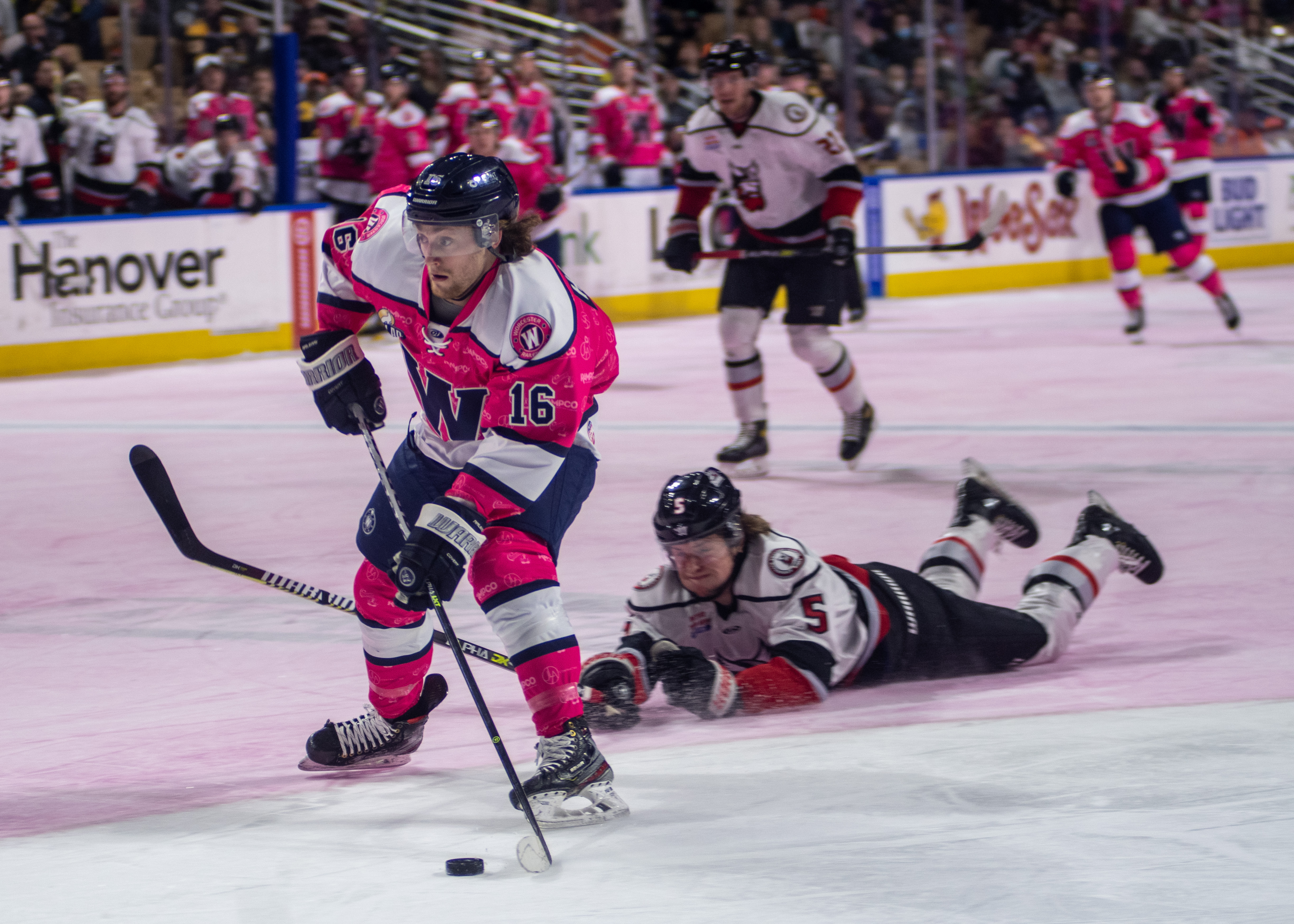 PINK Worchester SHARKS hockey jerseys!