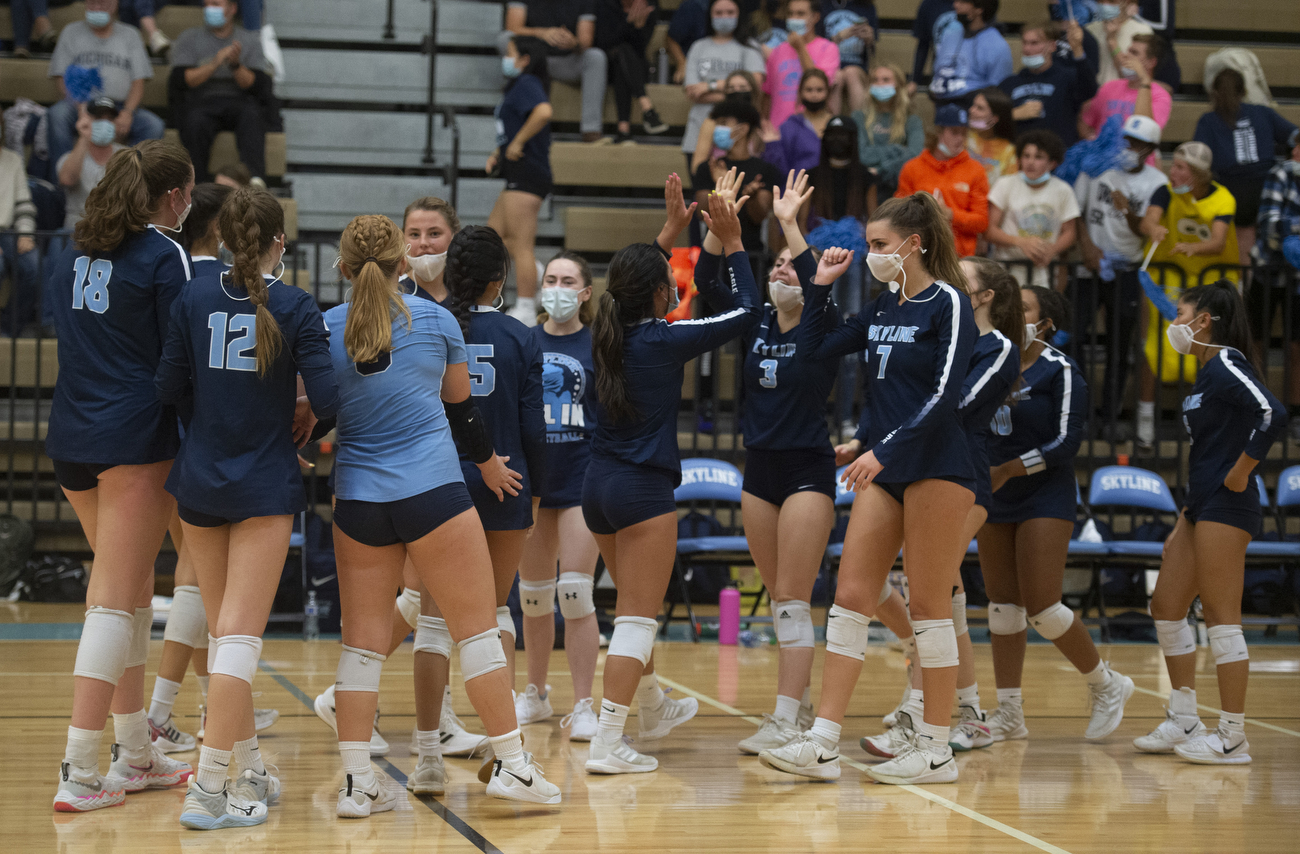 Ann Arbor Skyline Eagles Volleyball