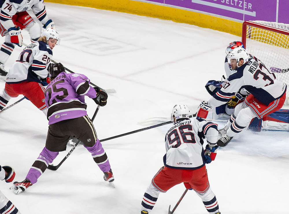 Scenes From Hershey Bears Fight Cancer Night - Pennlive.com